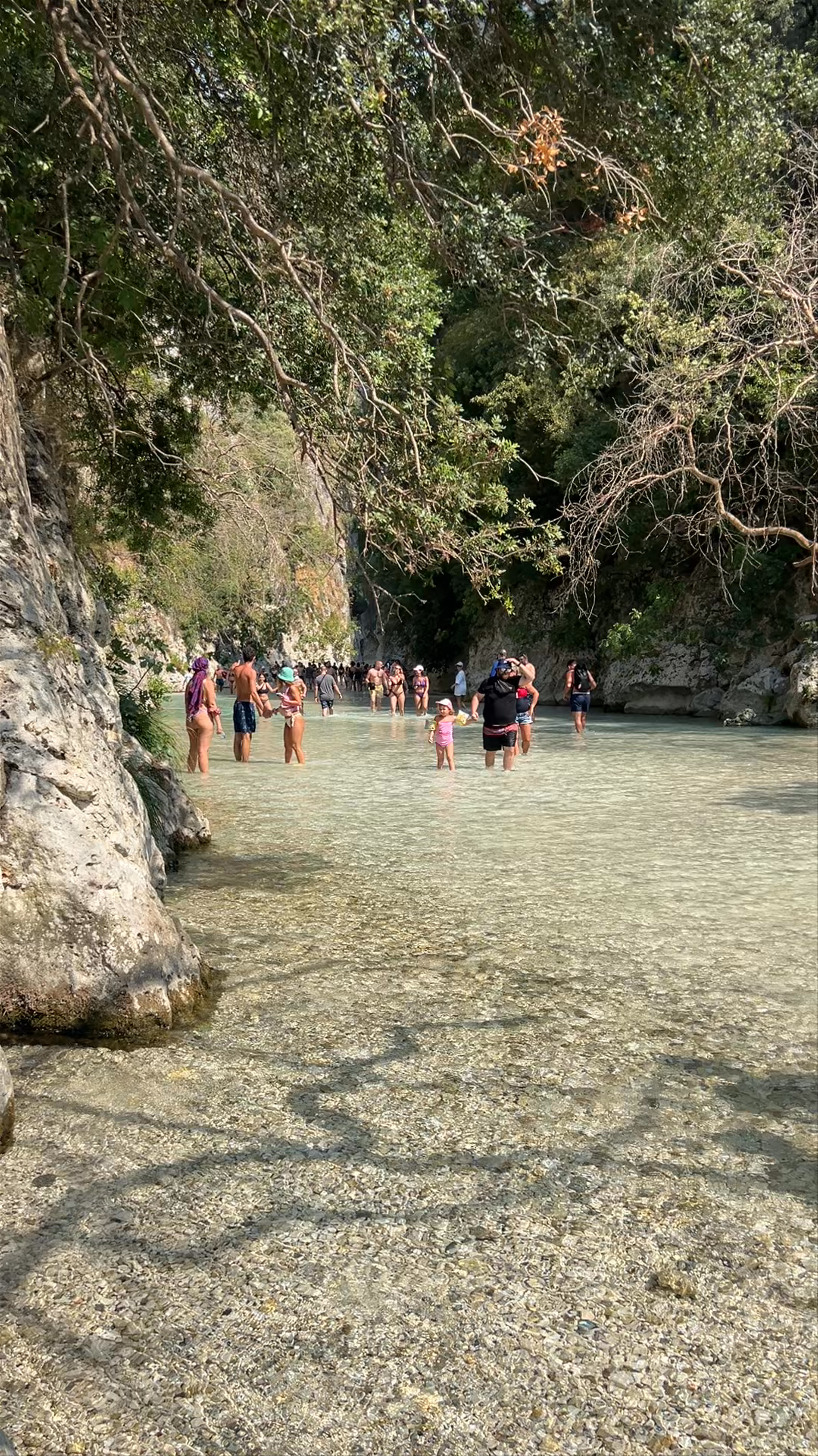Acheron Springs
