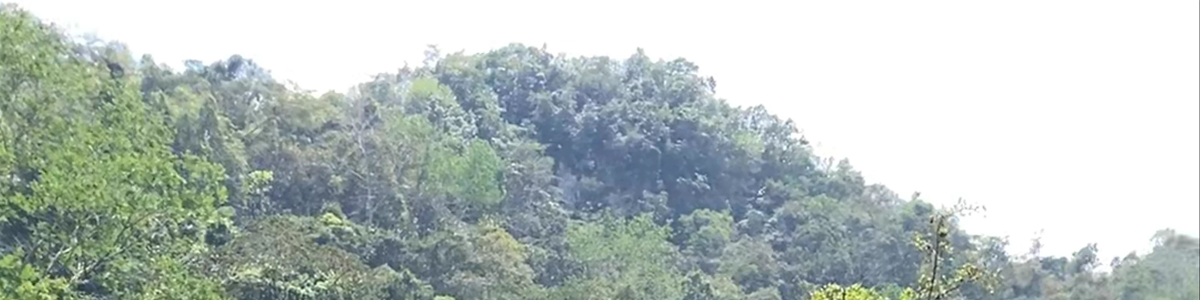 Semuc Champey