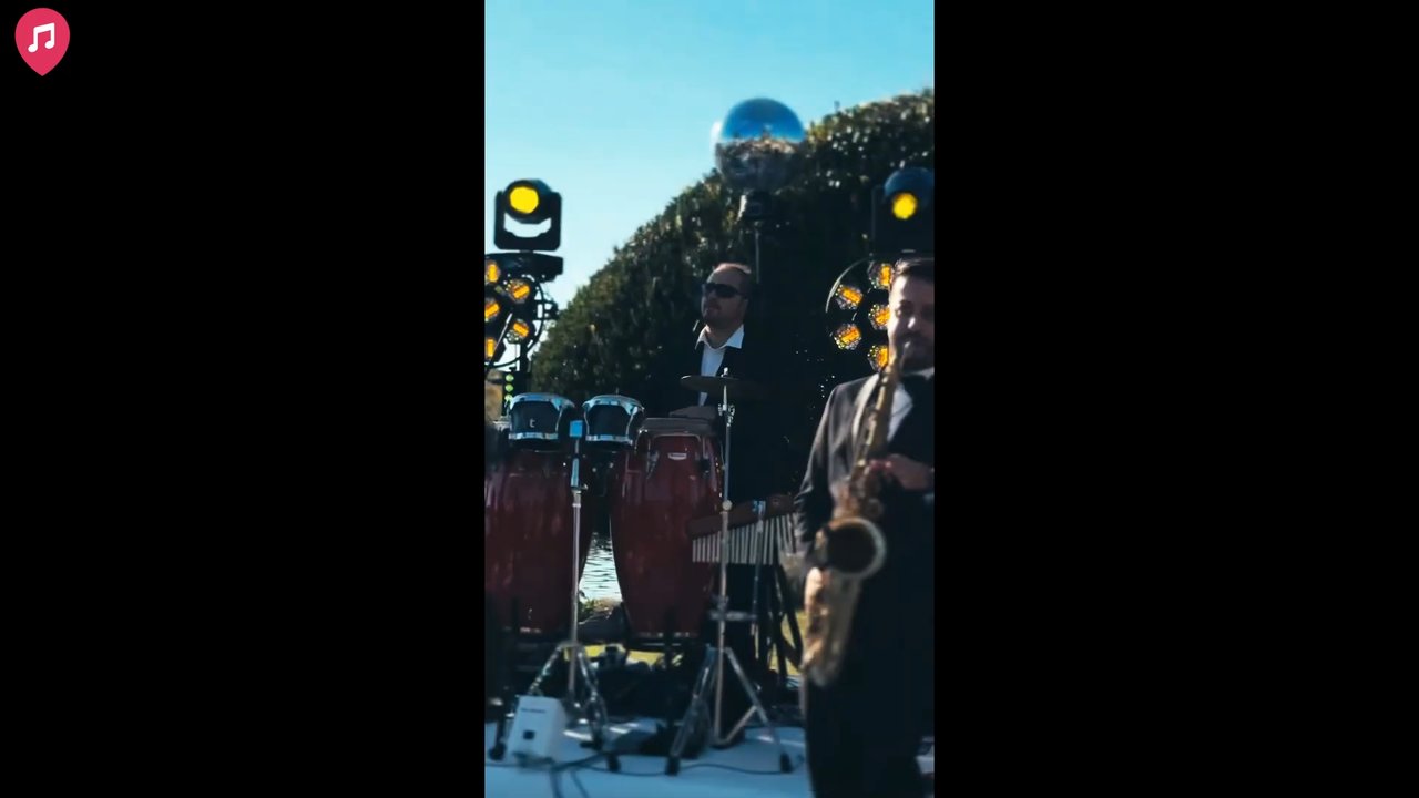 The Crazy Cats - Bonus Live Showreel 2026 - video 2