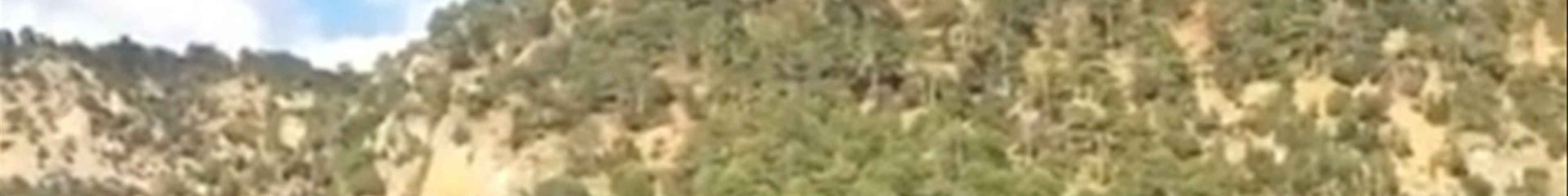 Tours & experiences in Molina de Aragón