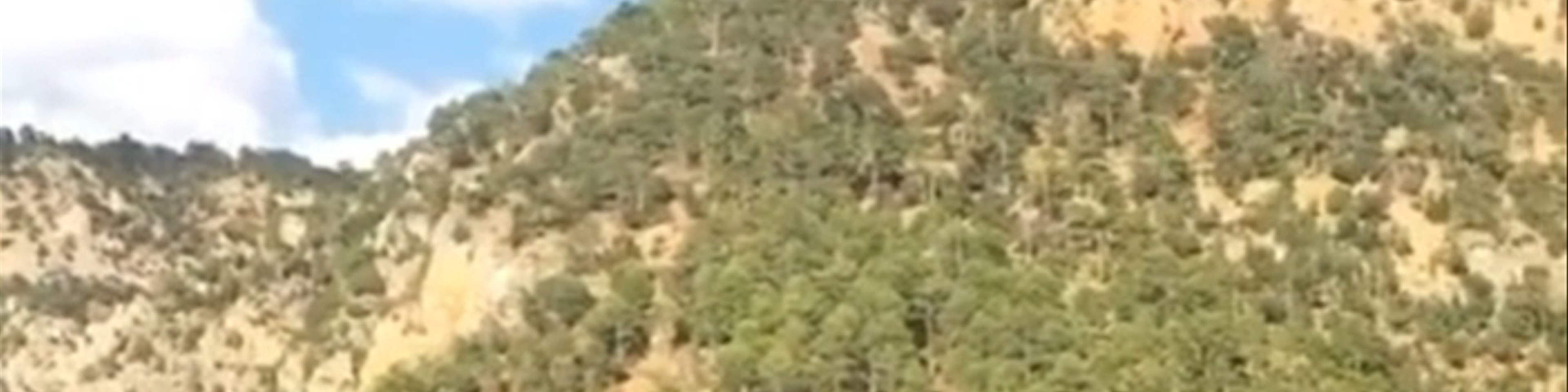 Molina de Aragón