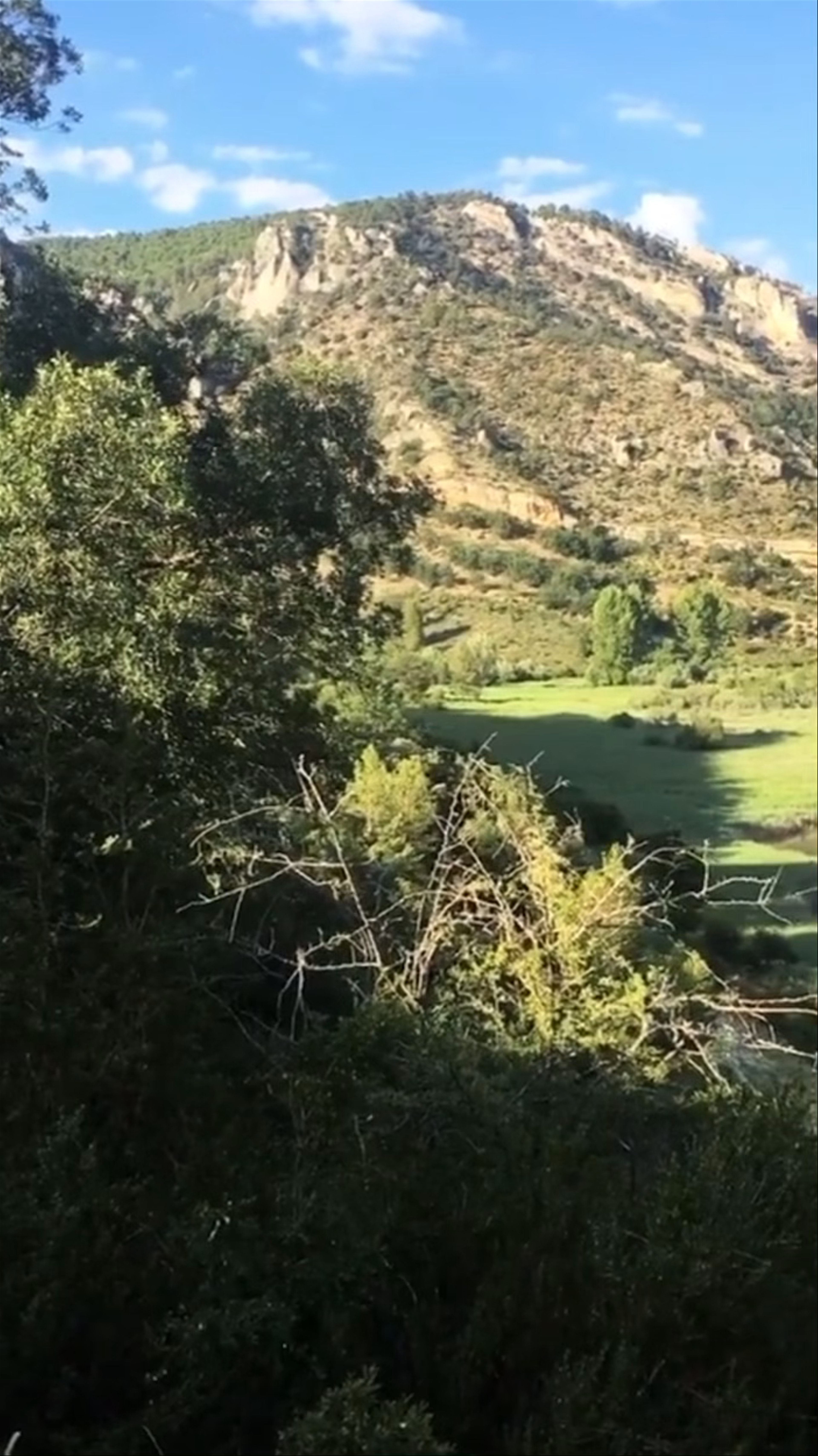 Parque Natural del Alto Tajo