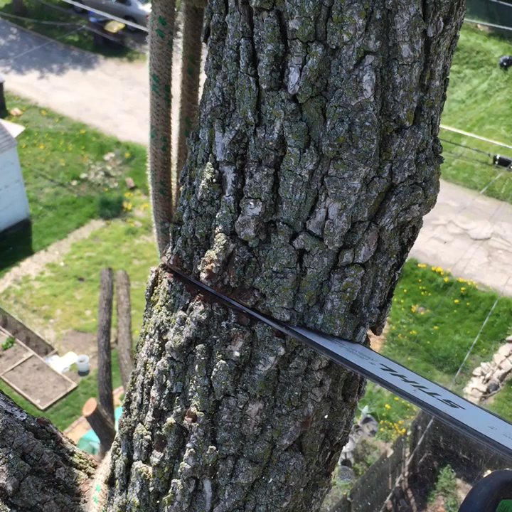 Infinity Outdoor Services - Tree Services Near Me - Fort Wayne, Indiana