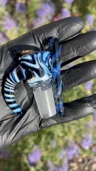 Small image 6