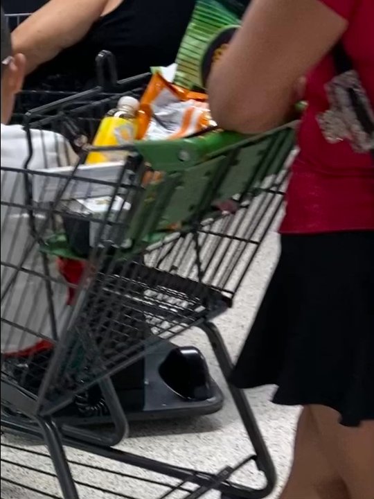 Publix - Off leash puppies are ok now? After I got kicked out with my service dog!????? - Grocery Near Me - Celebration, Florida