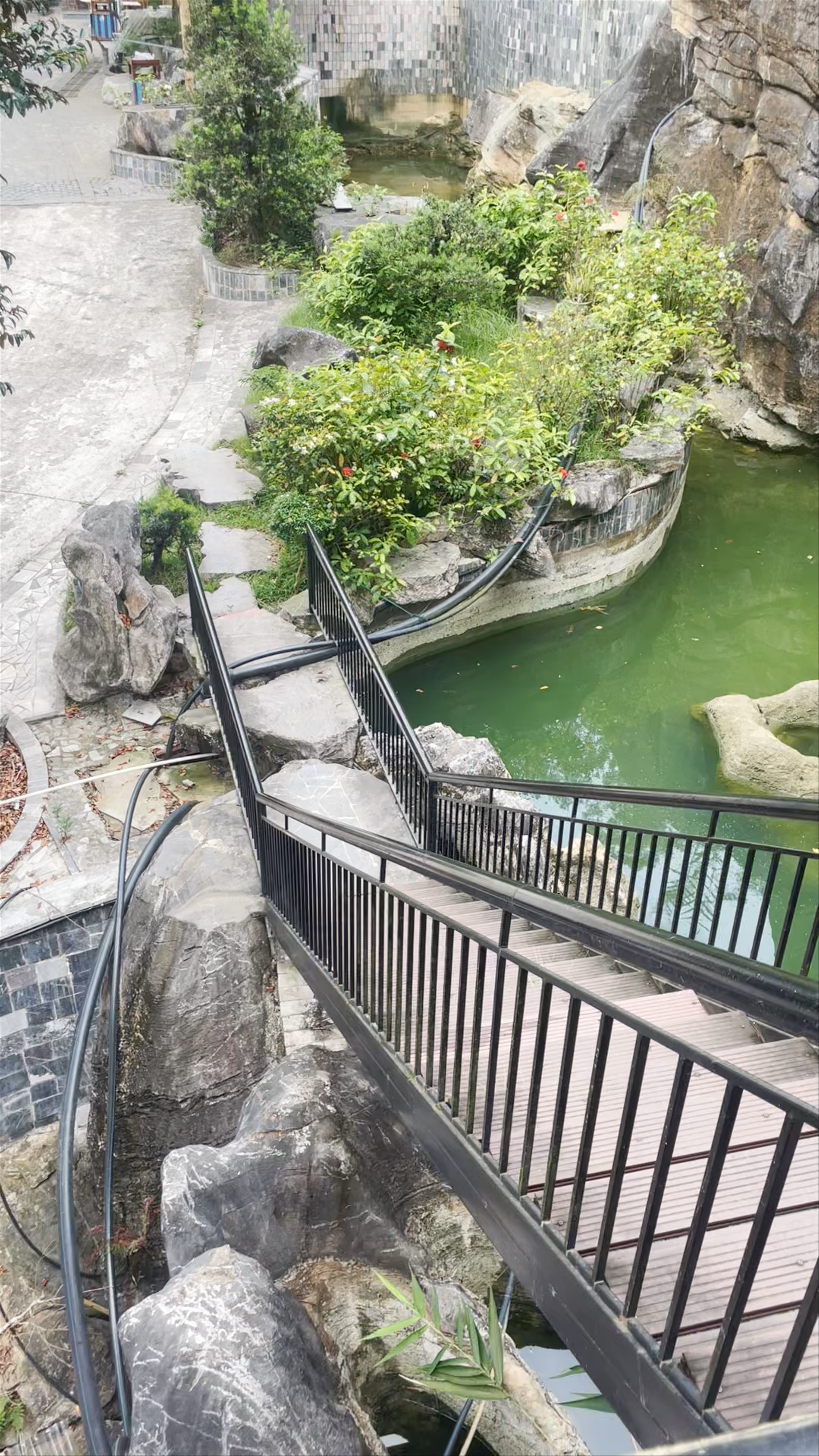 Serene Nature Escape at Lotus Premium Lodge, Hà Giang 2