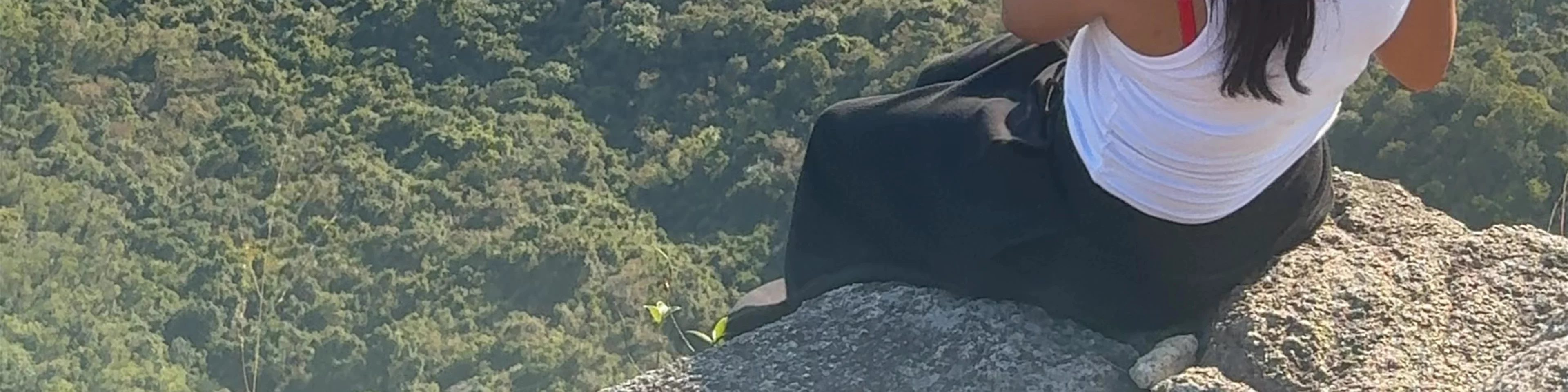 Lion Rock