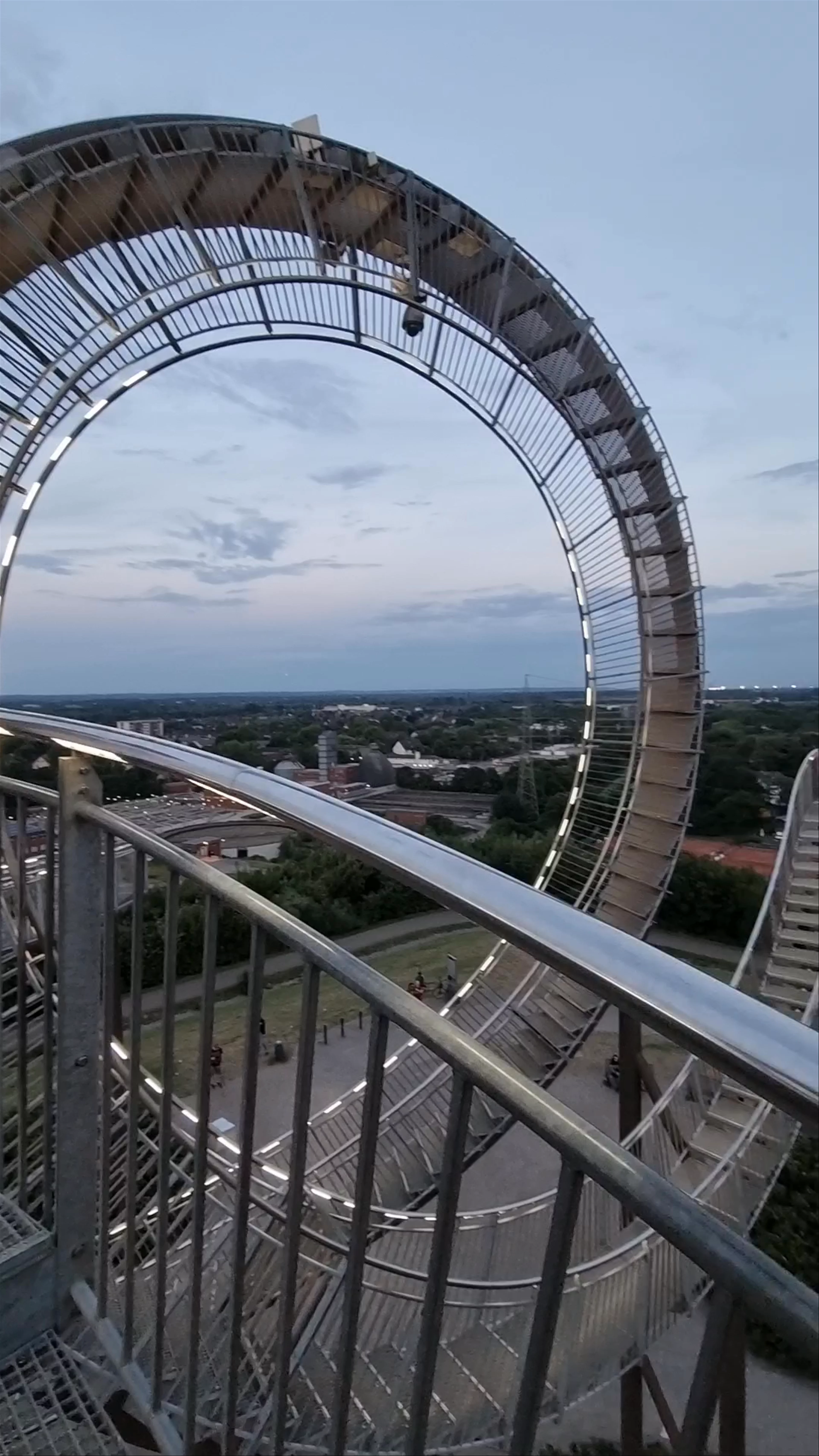 Tiger & Turtle