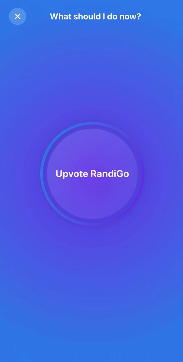 RandiGo image 1