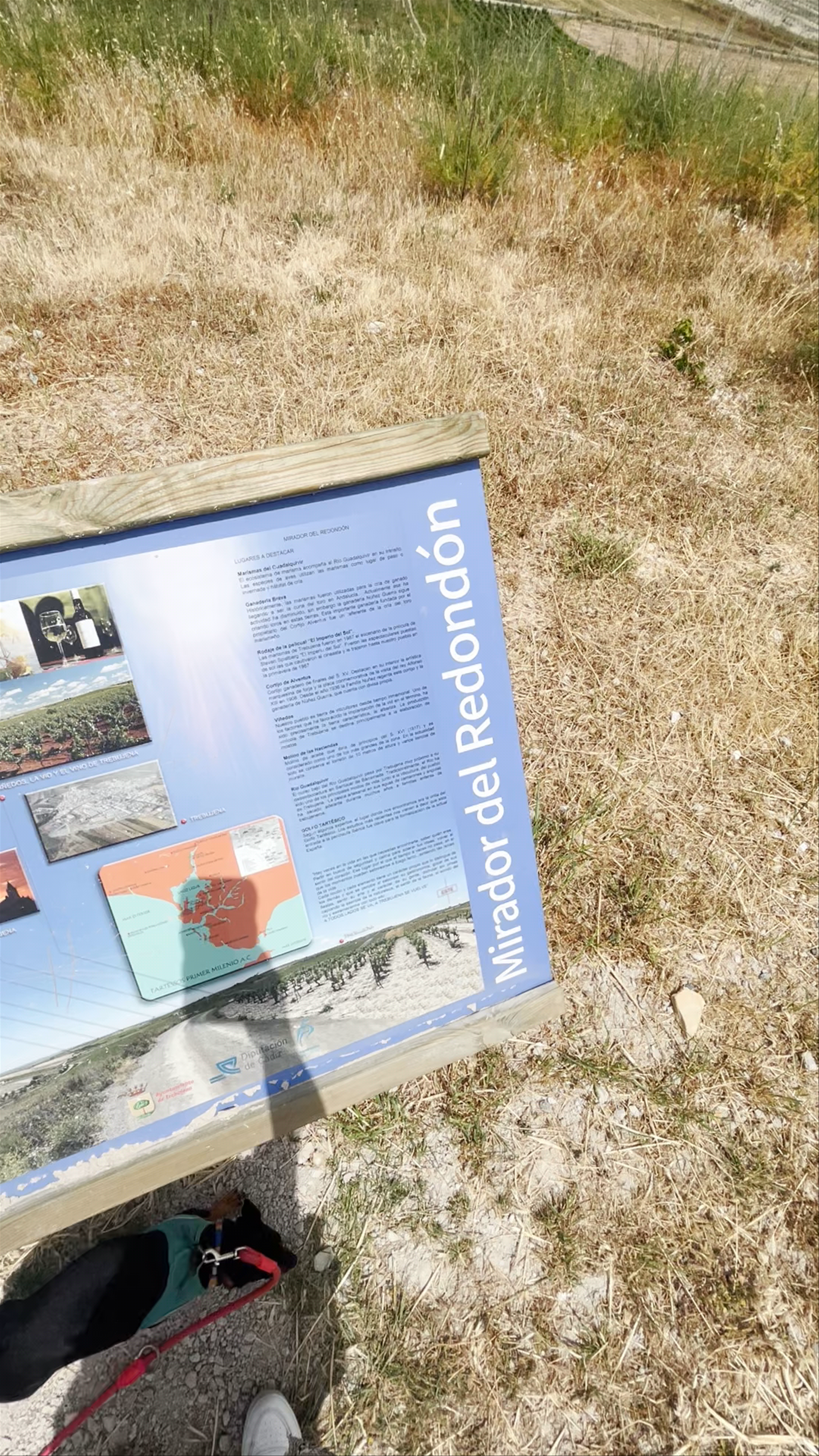 Mirador del Redondón: Panoramic Views of Trebujena's Raw Countryside