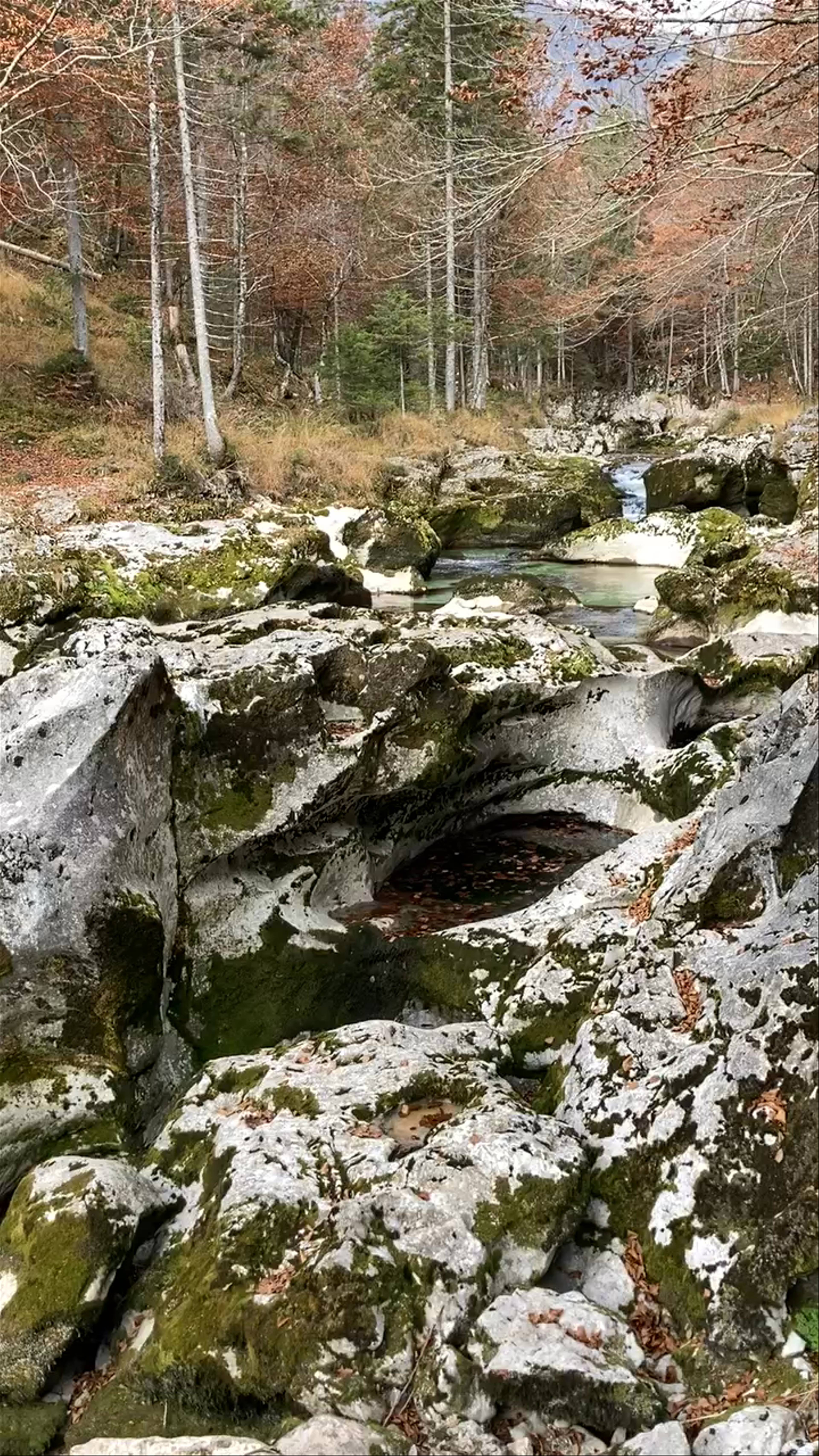 Mostnica Gorge: A Serene Autumn Escape in Bohinj, Slovenia