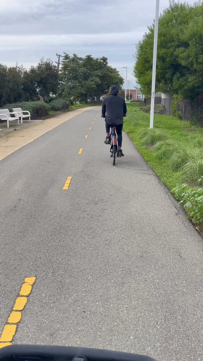 Bay Bridge Trail - Hiking Near Me - Oakland, California