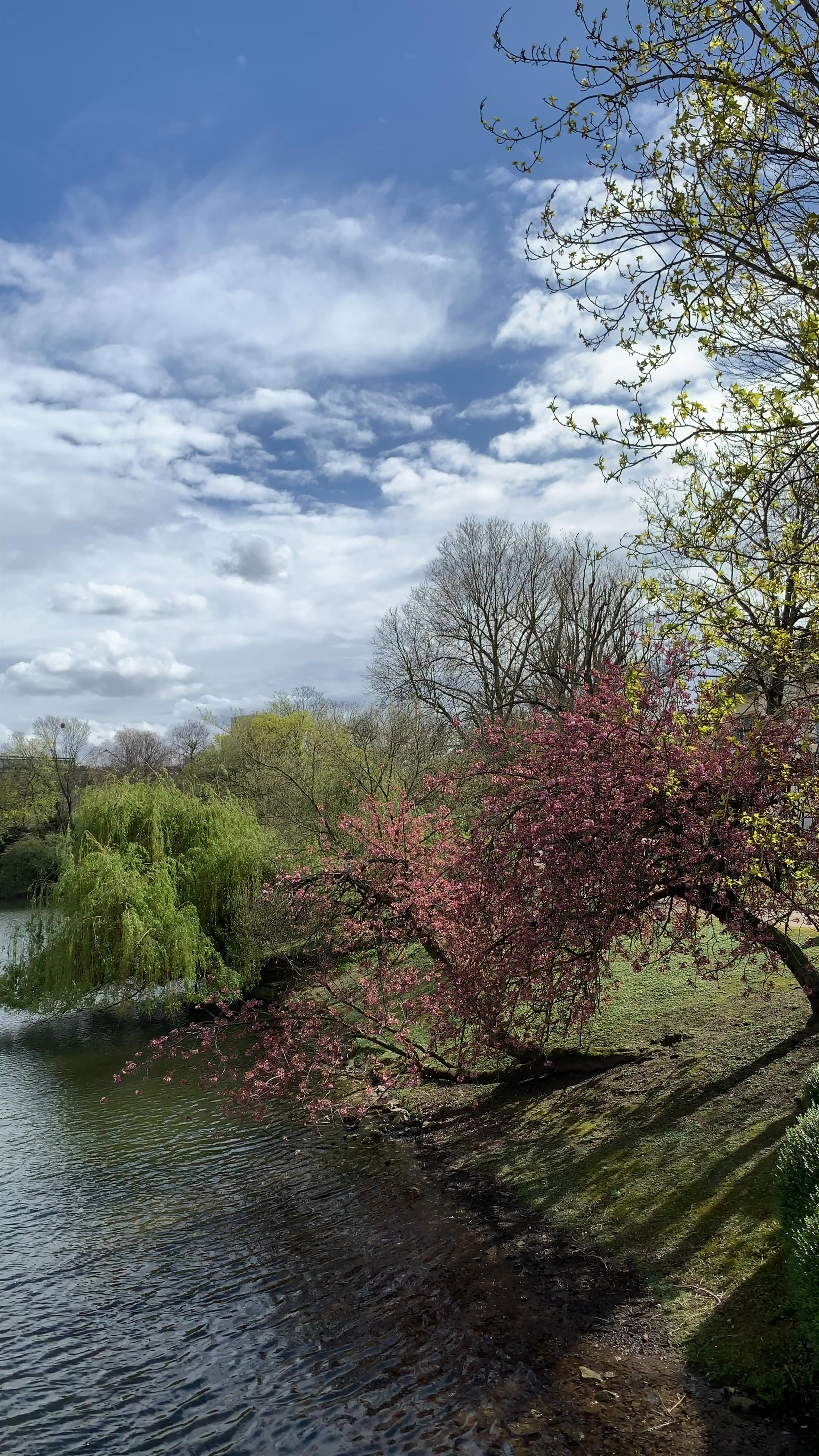 Spring Serenity at Ständehaus, Düsseldorf