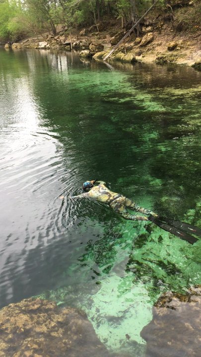 Troy Spring State Park - Free divers - Parks Near Me - Branford, Florida