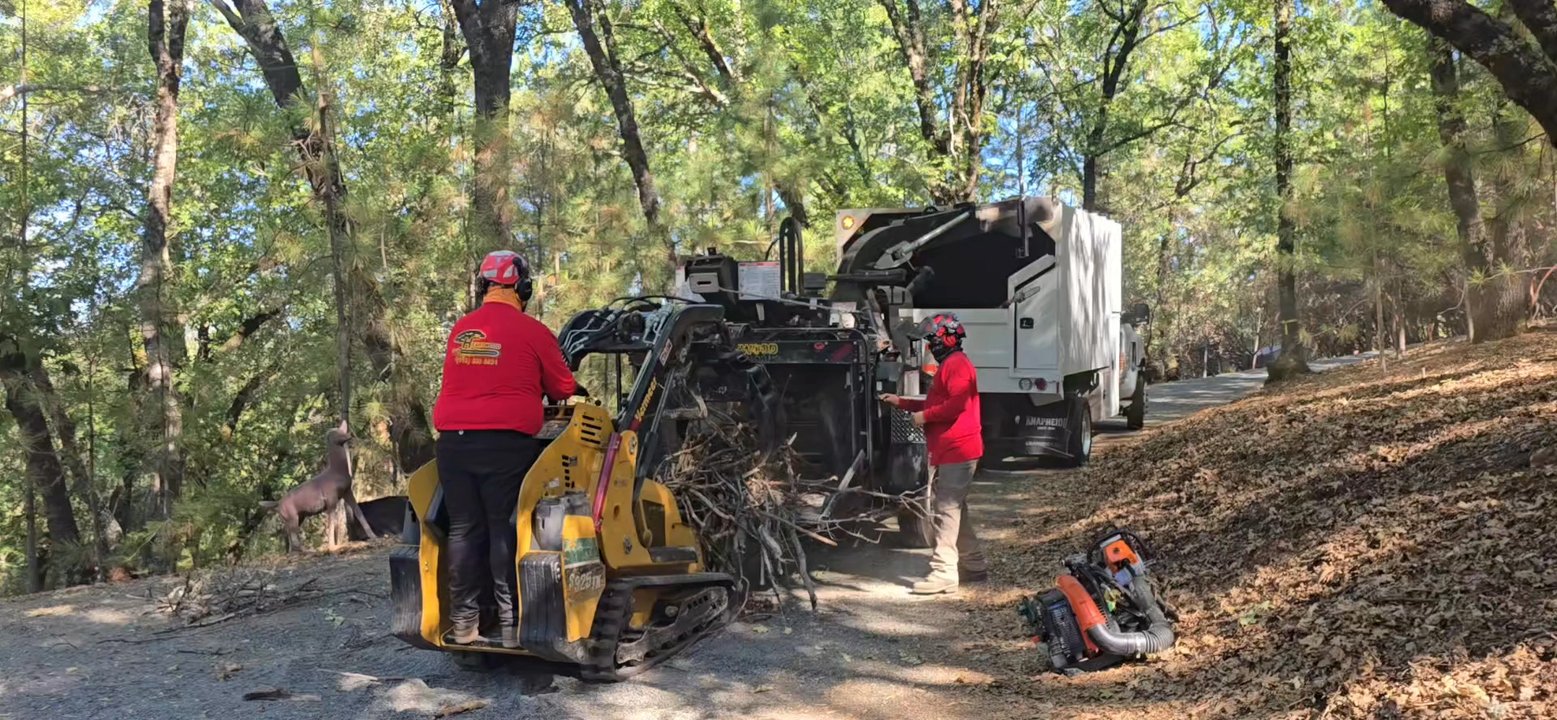 Heartwood Professional Tree Management - Professional and competent tree service! - Tree Services Near Me - Rocklin ca, California