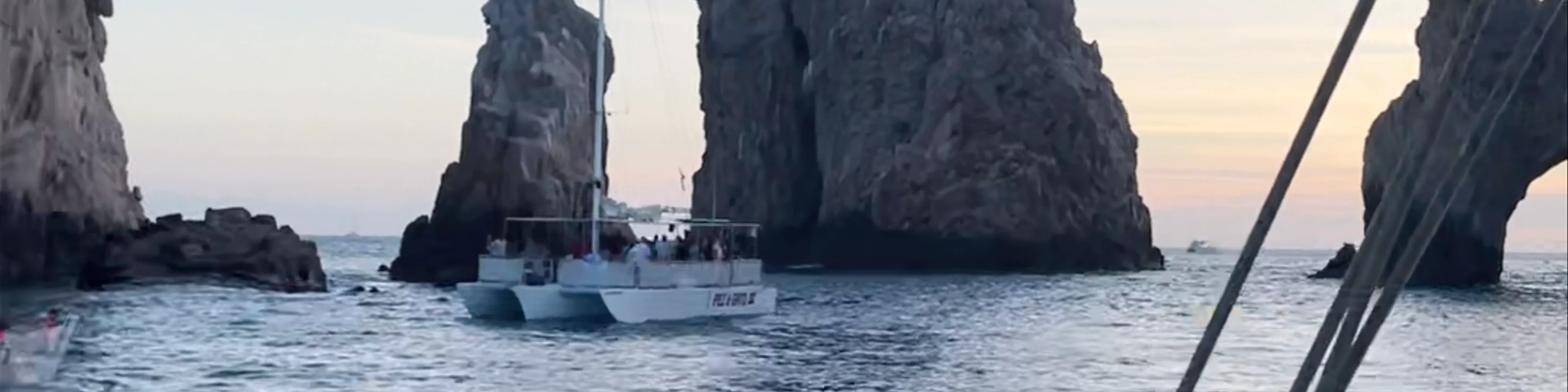 EcoCat Catamaran Tours