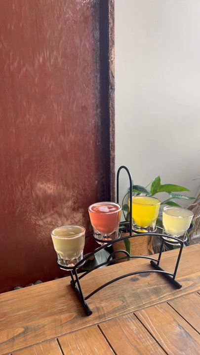 Flower Crown Kombucha - Water fountain with kombucha flight - Coffee & Tea Near Me - Tampa, Florida
