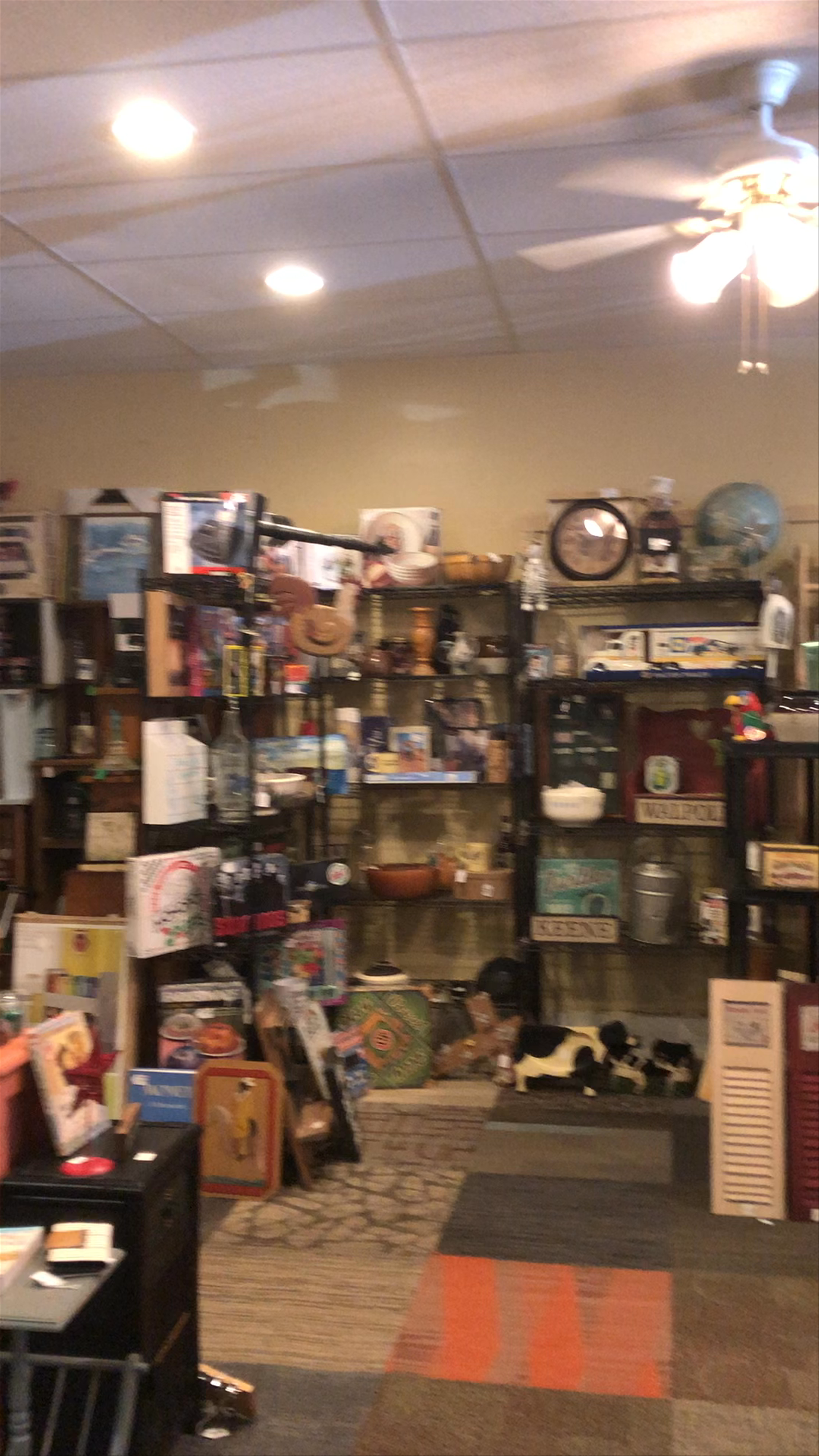 Exploring a Charming Vintage Shop in Northfield, United States