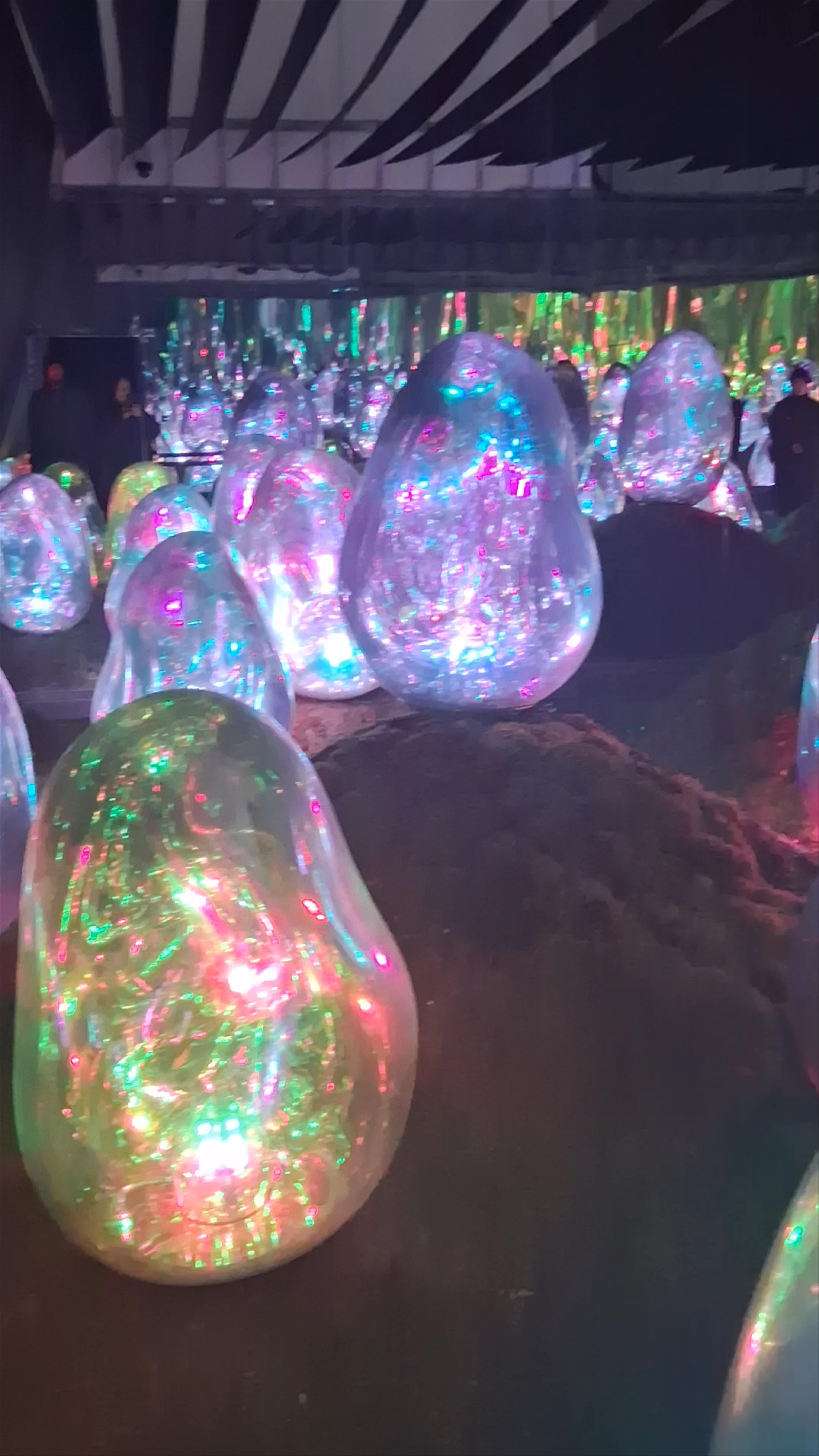 teamLab Planets TOKYO DMM