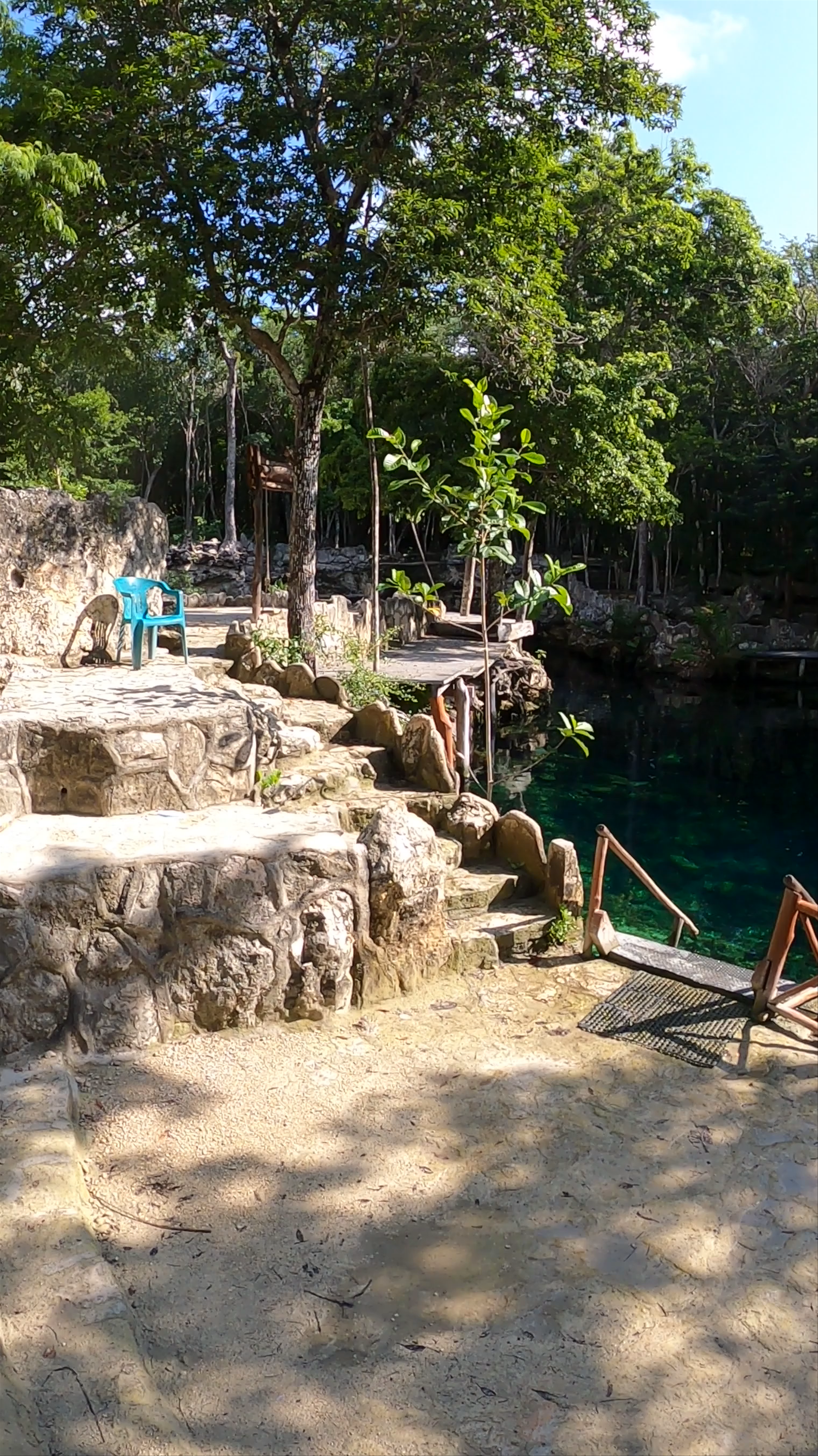 Cenote Tortuga: Serene Natural Oasis in Tulum, Mexico