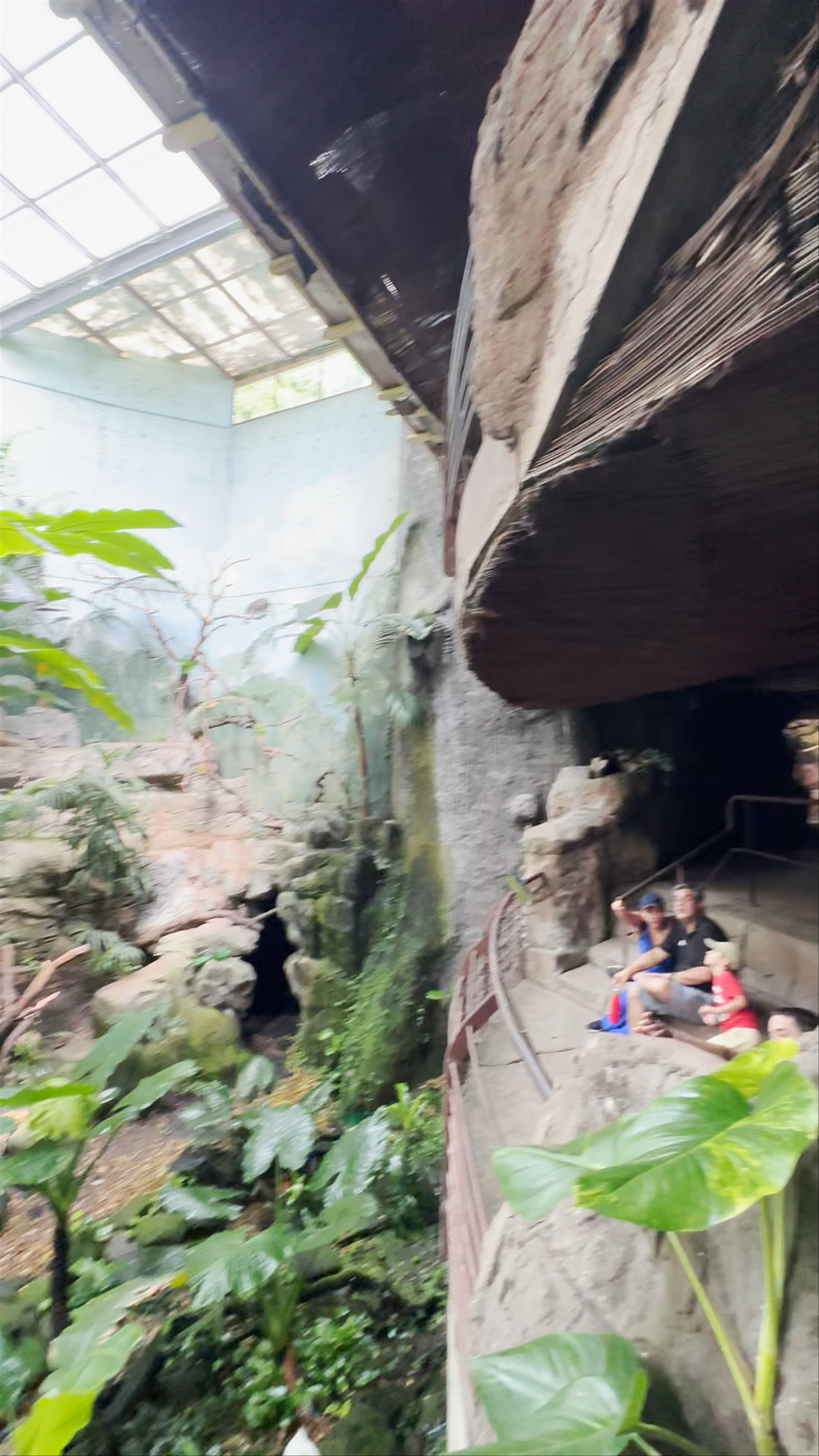 La Jungla