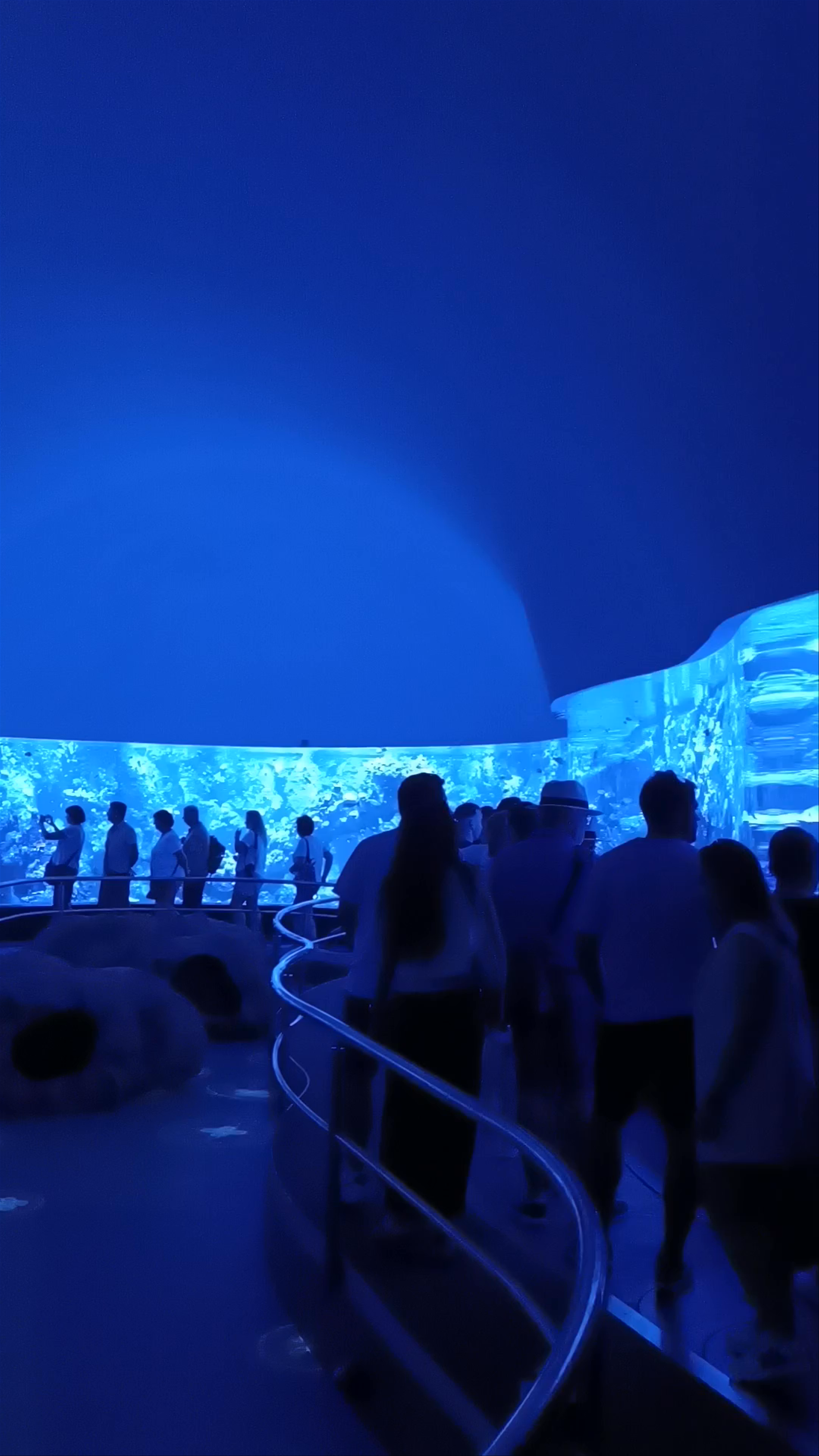 Immersive Coral Kingdom Aquarium Experience in Puerto de la Cruz