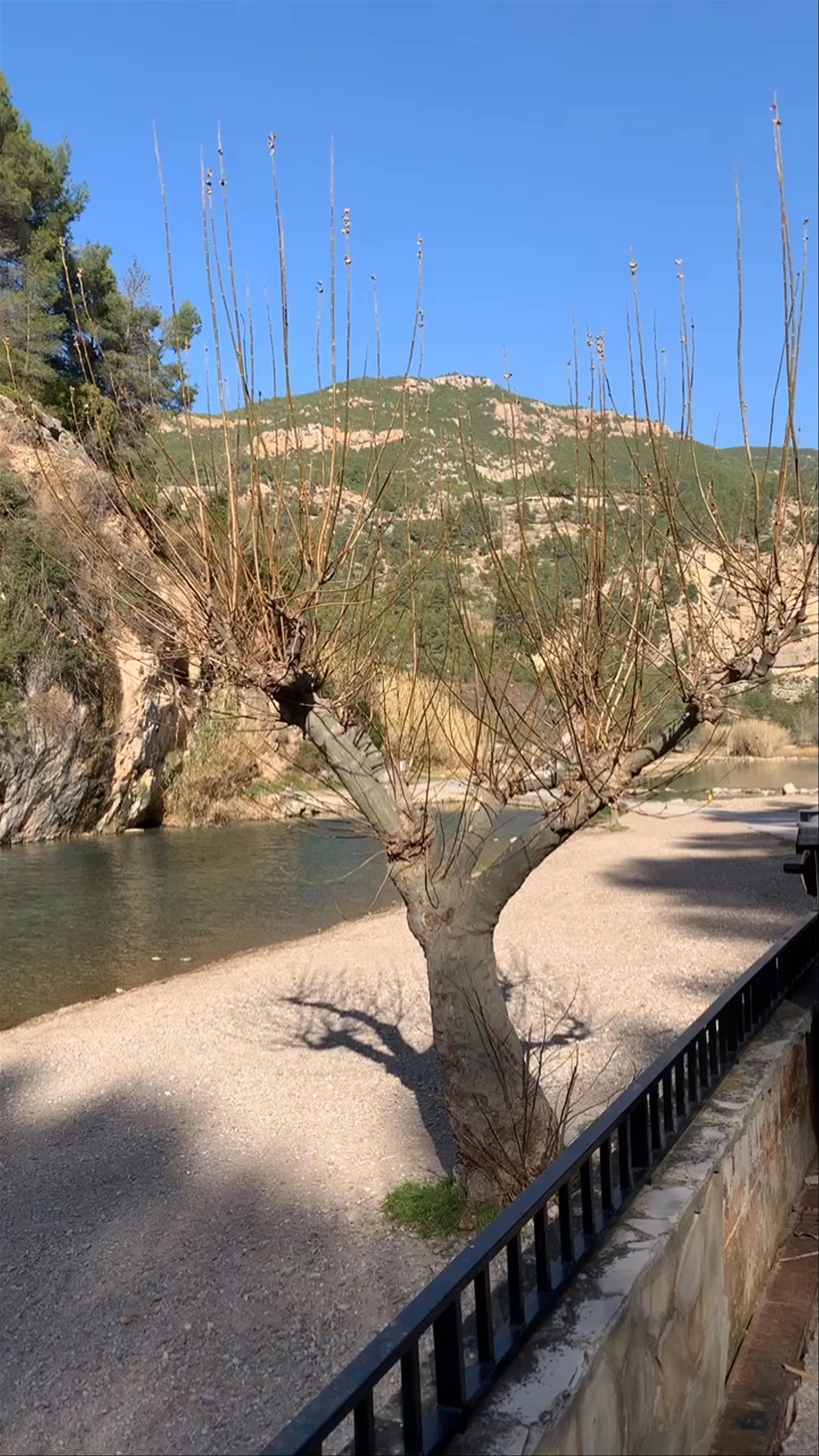 Aigües Termals de Montanejos.