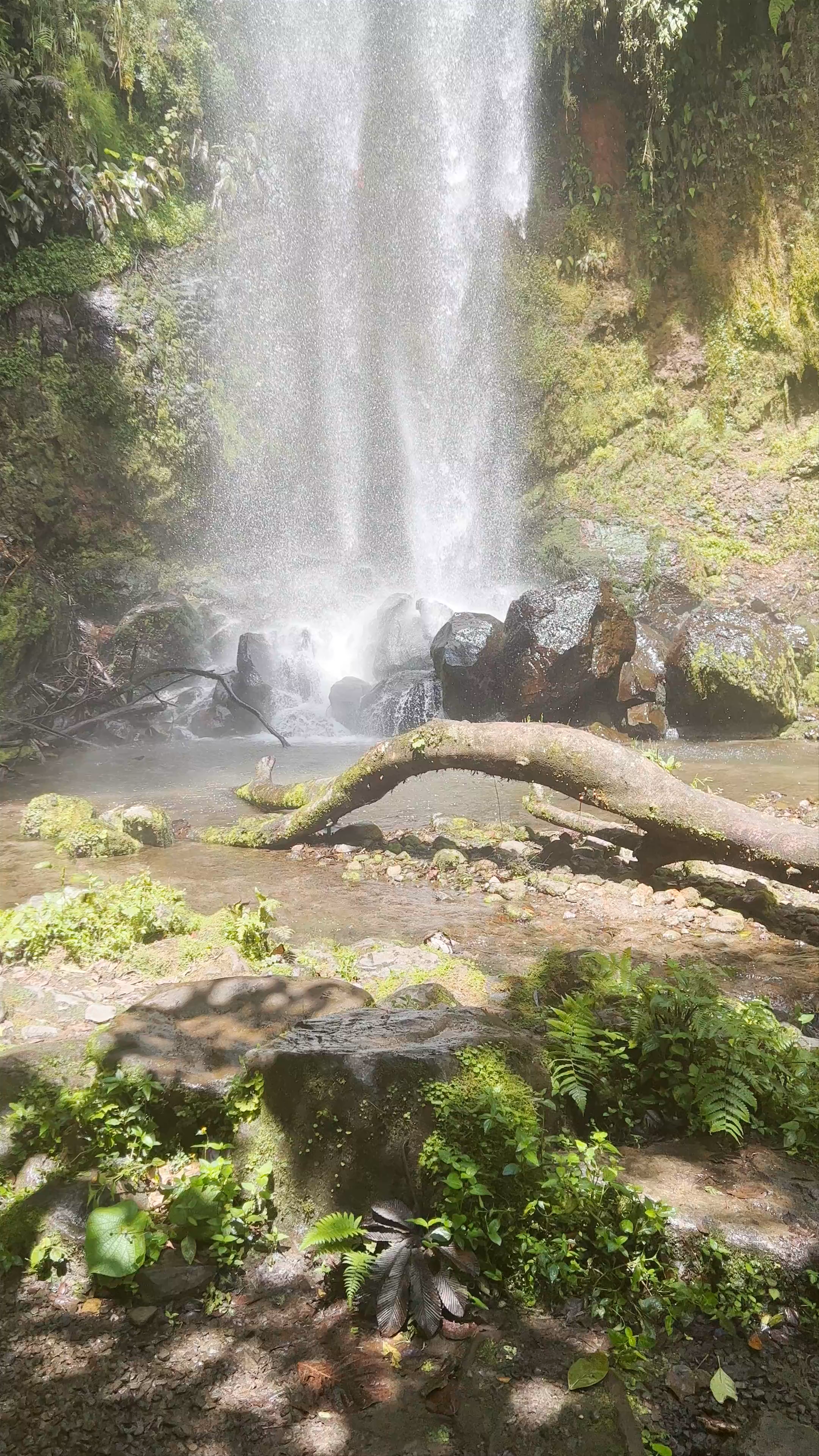 Pipeline Trail (Waterfall)