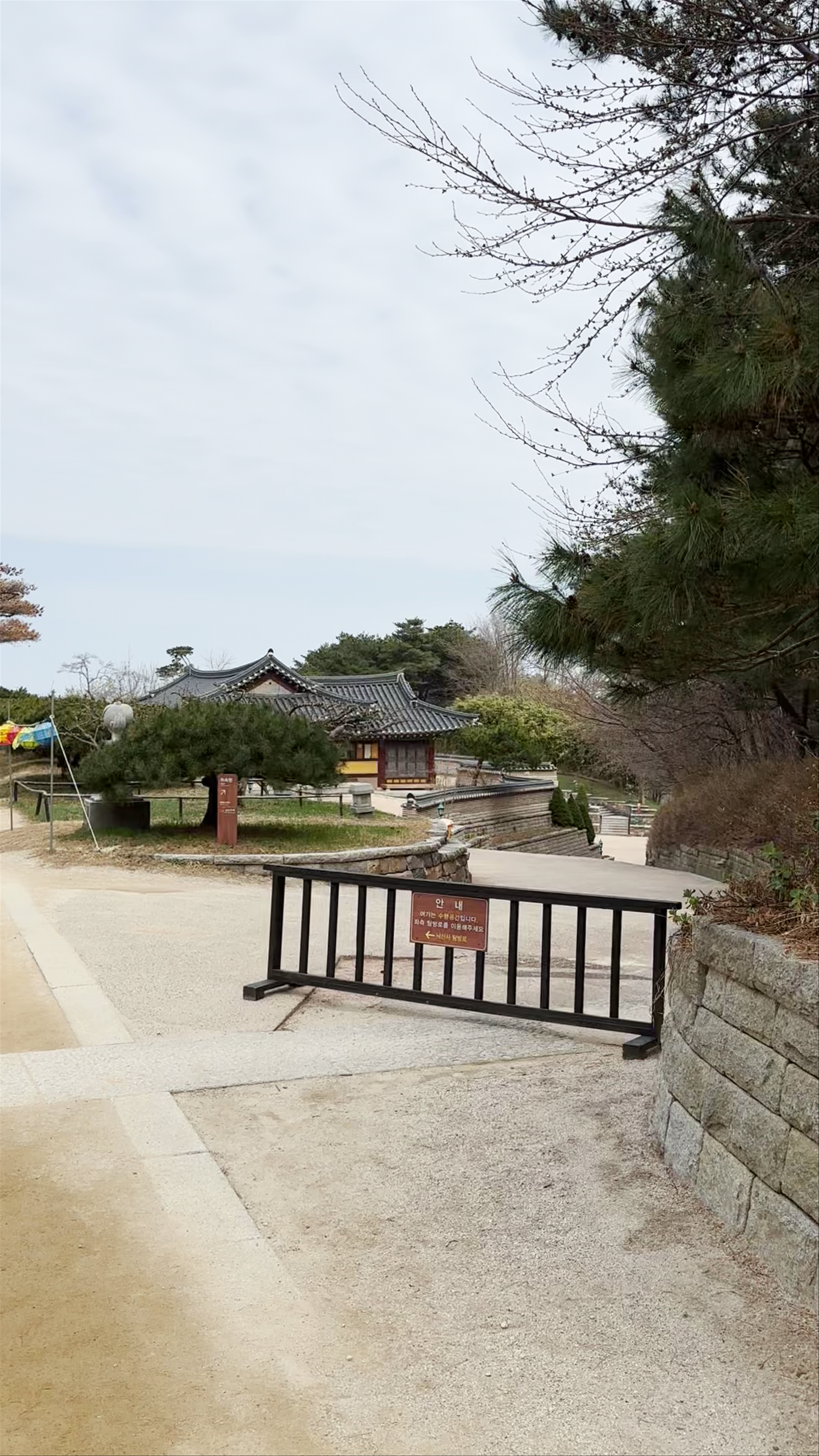 Tranquil Heritage Walk at Naksansa Temple, Yangyang