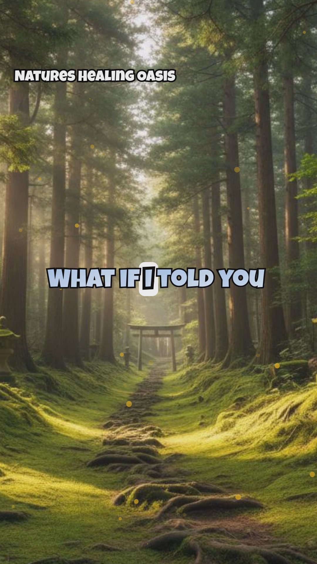 Forest Bathing 101: Japanese Shinrin-yoku Techniques for Absorbing Tree Energy