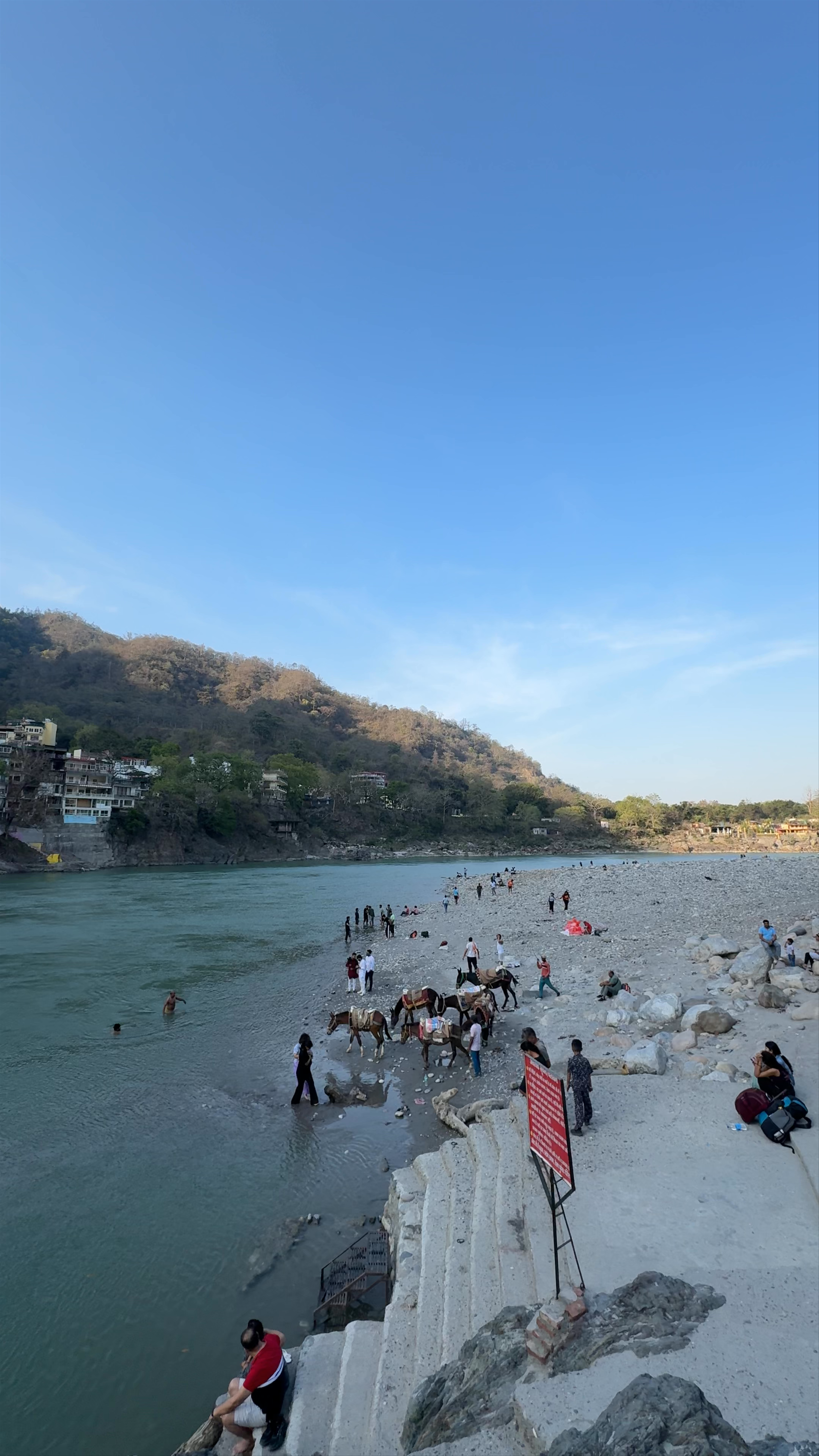 Pebble's beach