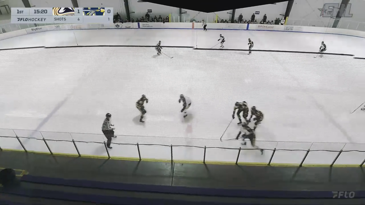 Matthew Topham #10 with New Hampshire Avalanche