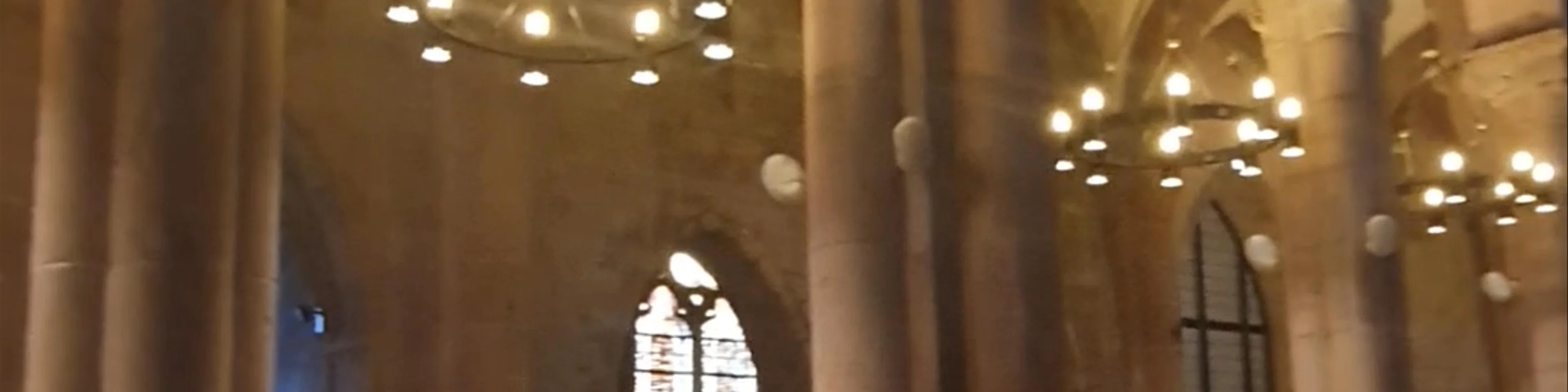 Cathédrale de Saint Dié