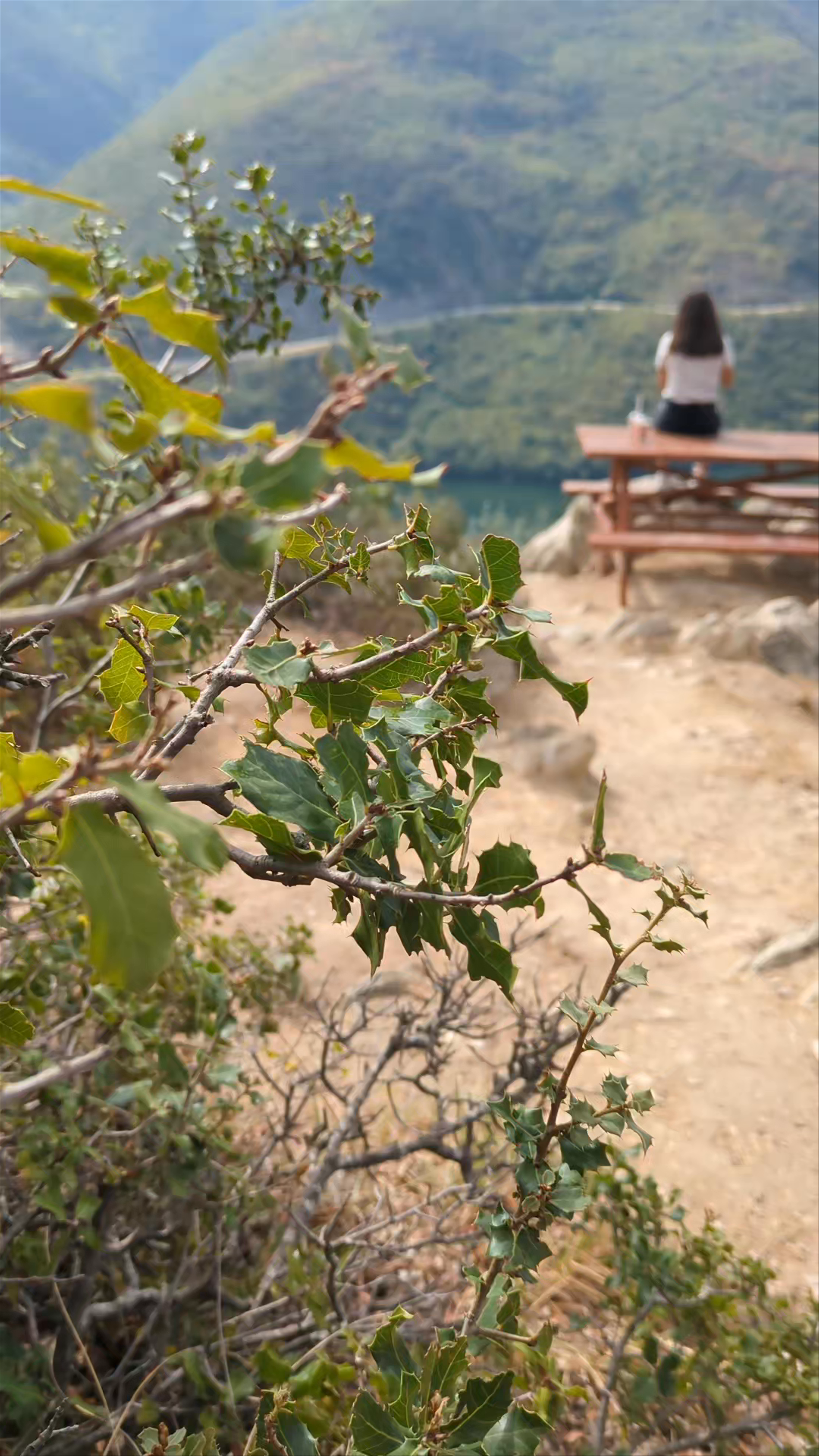 Serene Mountain View at Pankáki, Veria, Greece