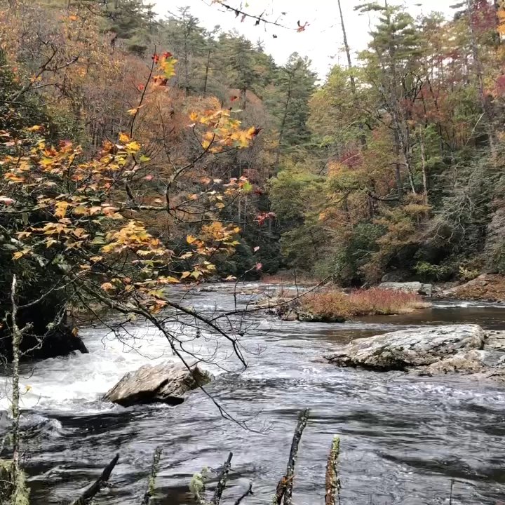 Big Bend Falls - Downstream of Big Bend Falls 25Oct2020 - Hiking Near Me