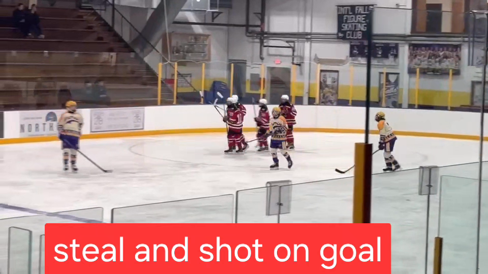 Aurora Jabas: Stunning Puck Steal & Goal from Detroit Lakes High