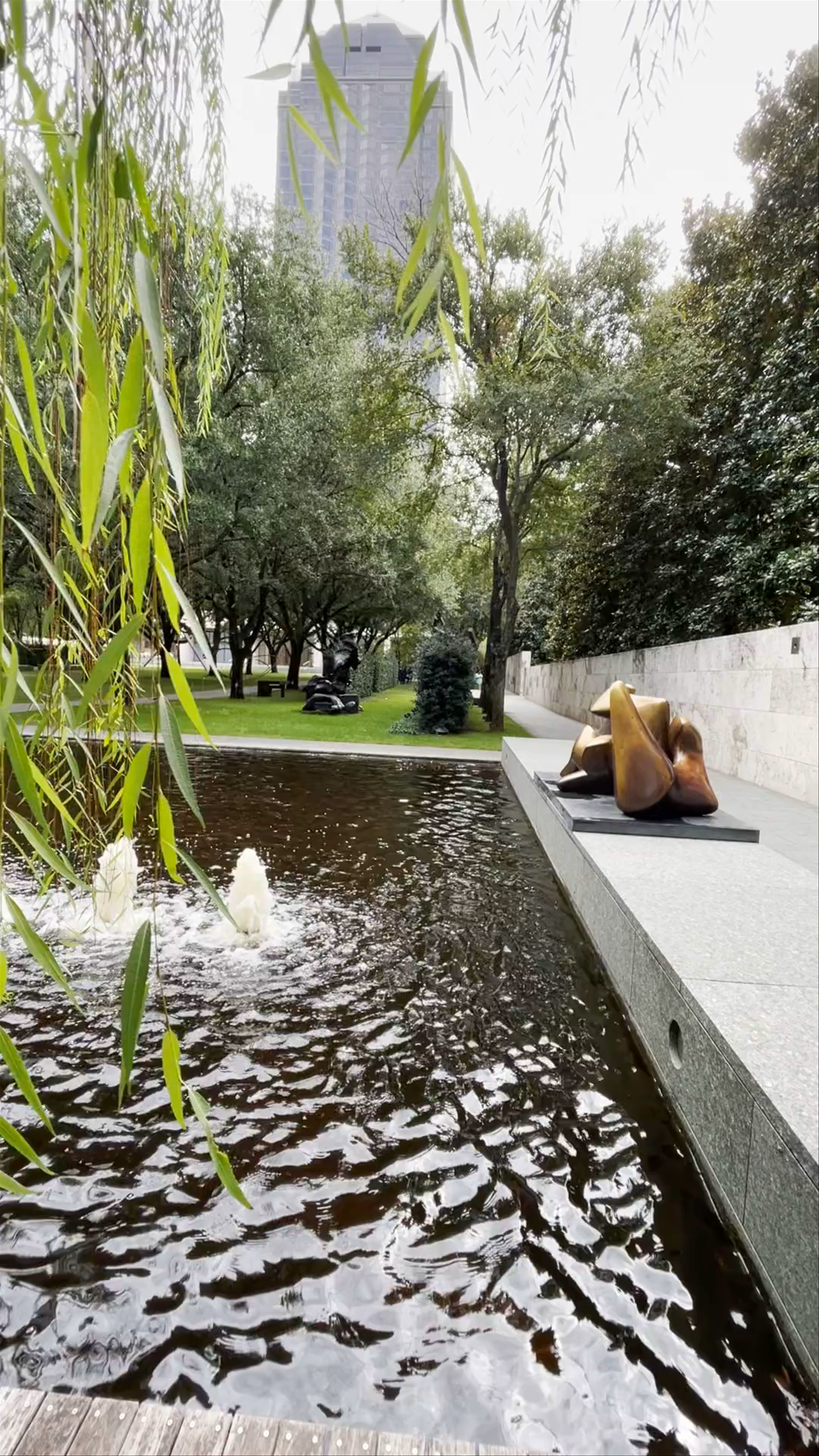 Nasher Sculpture Center: A Tranquil Artistic Escape in Dallas