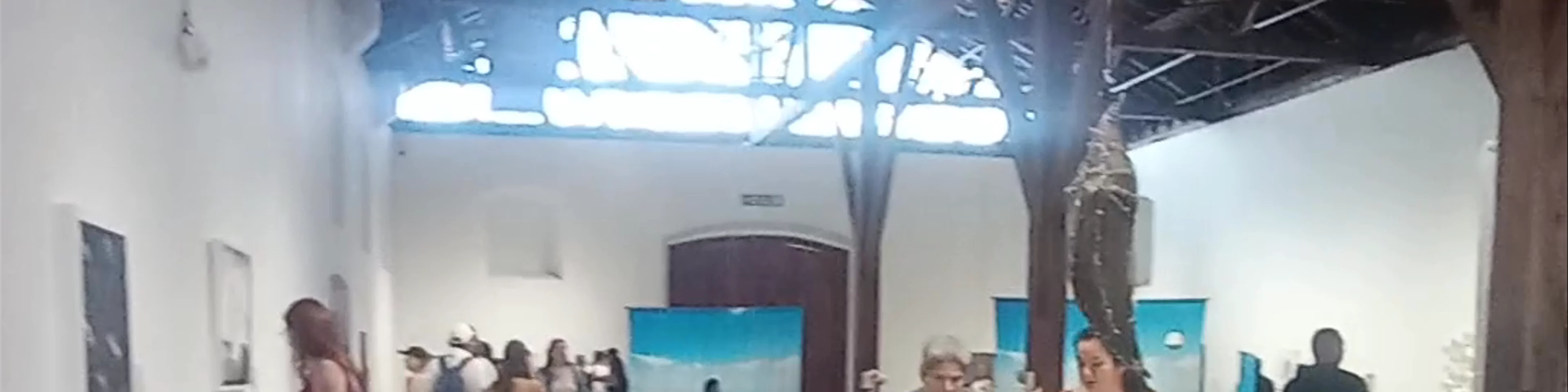 Museo de Arte y Diseño Contemporáneo