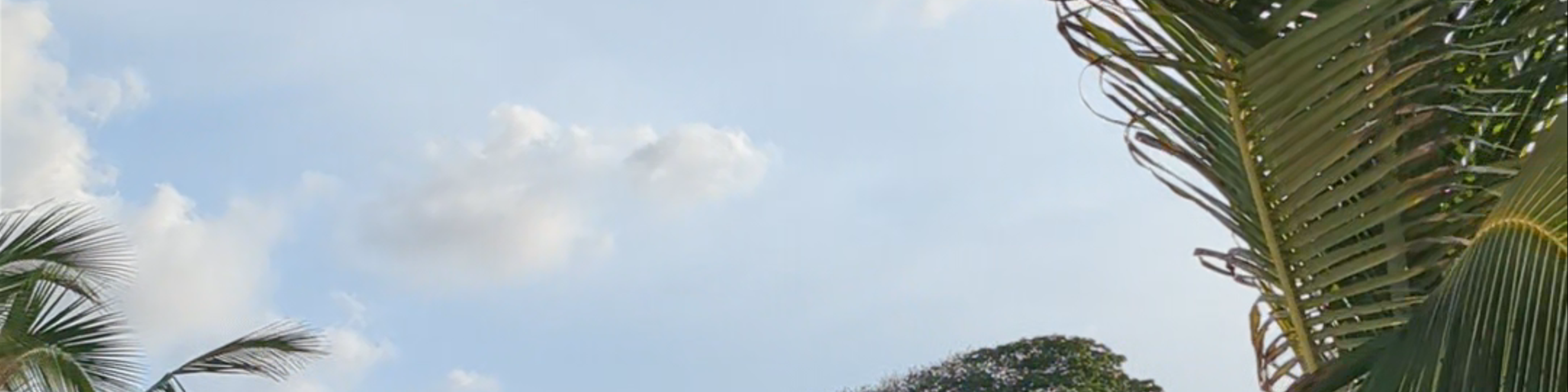 Kilifi