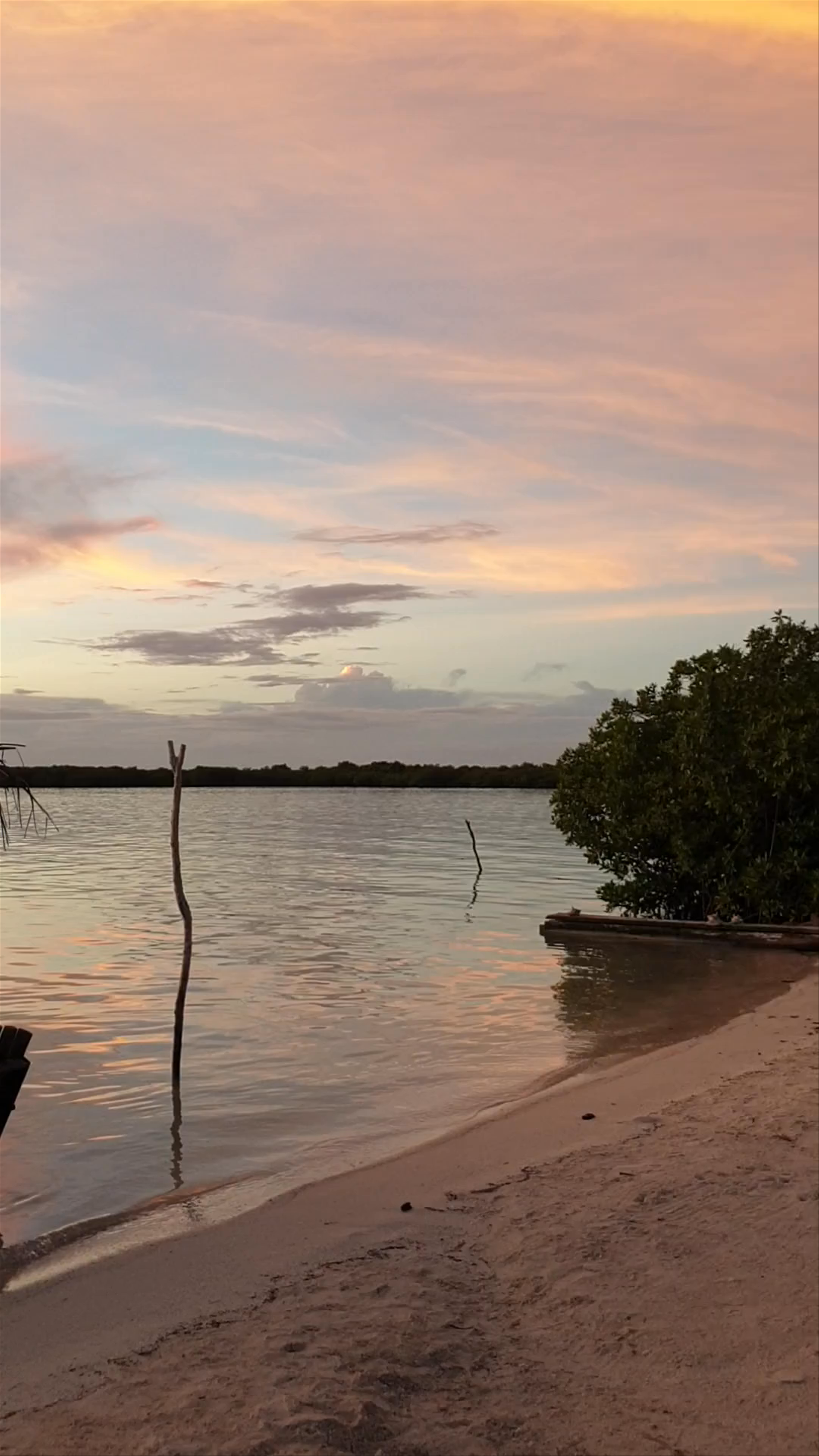 Northside Beach Club (previously Koko King)