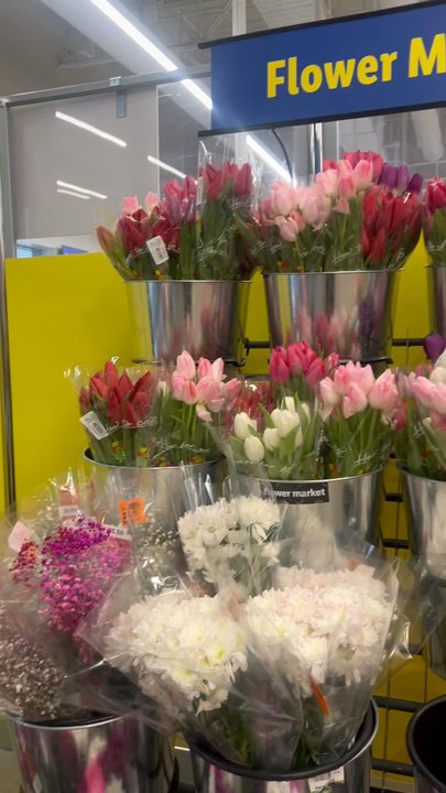 Lidl - Dozen tulips for 6.99 - Grocery Near Me - Harrisburg, Pennsylvania