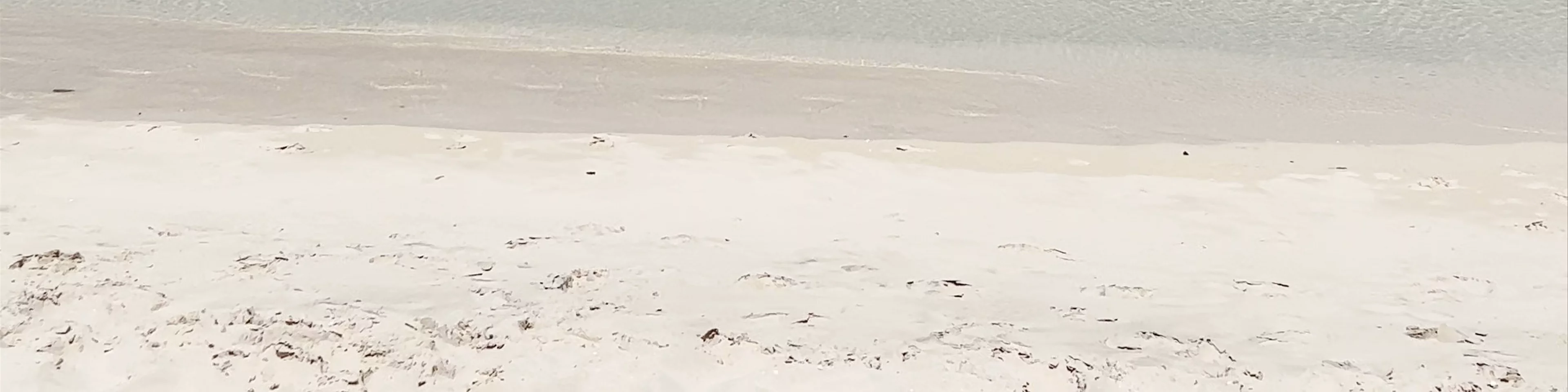 Soul Beach - Abu Dhabi - United Arab Emirates