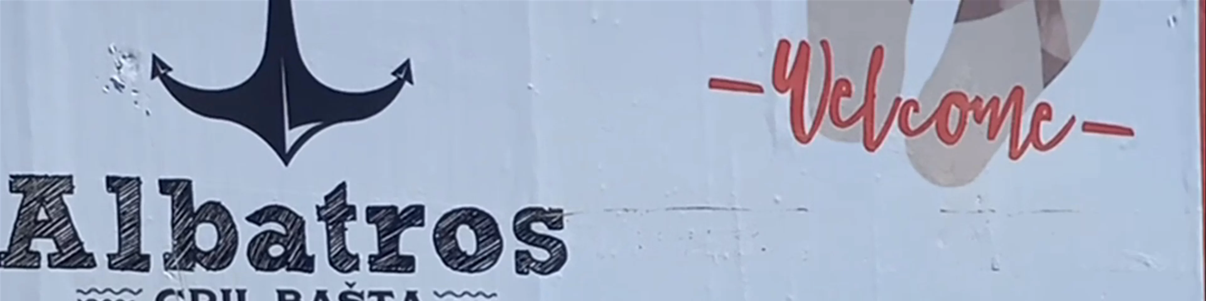 Albatros