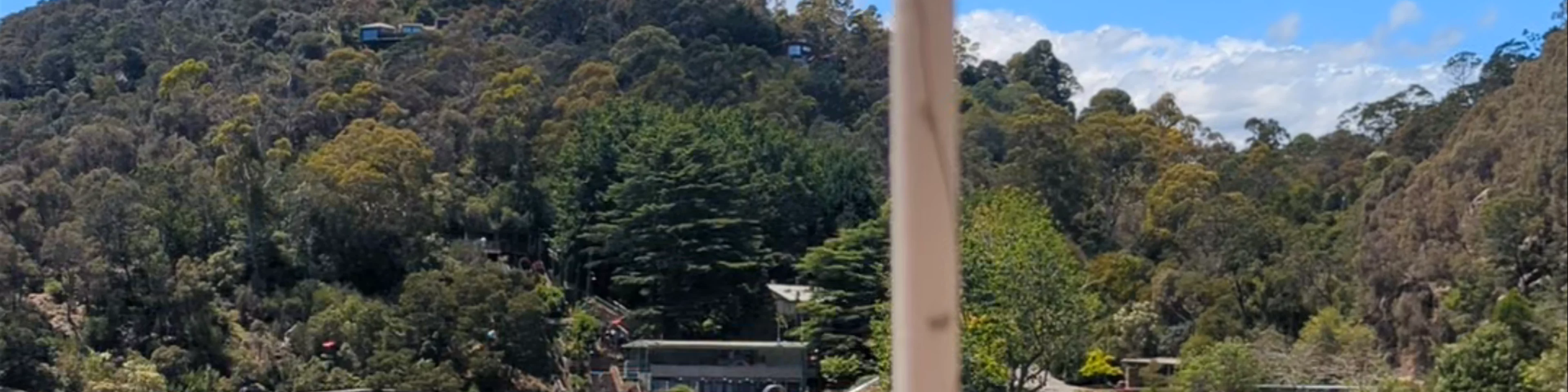 Alexandra Suspension Bridge