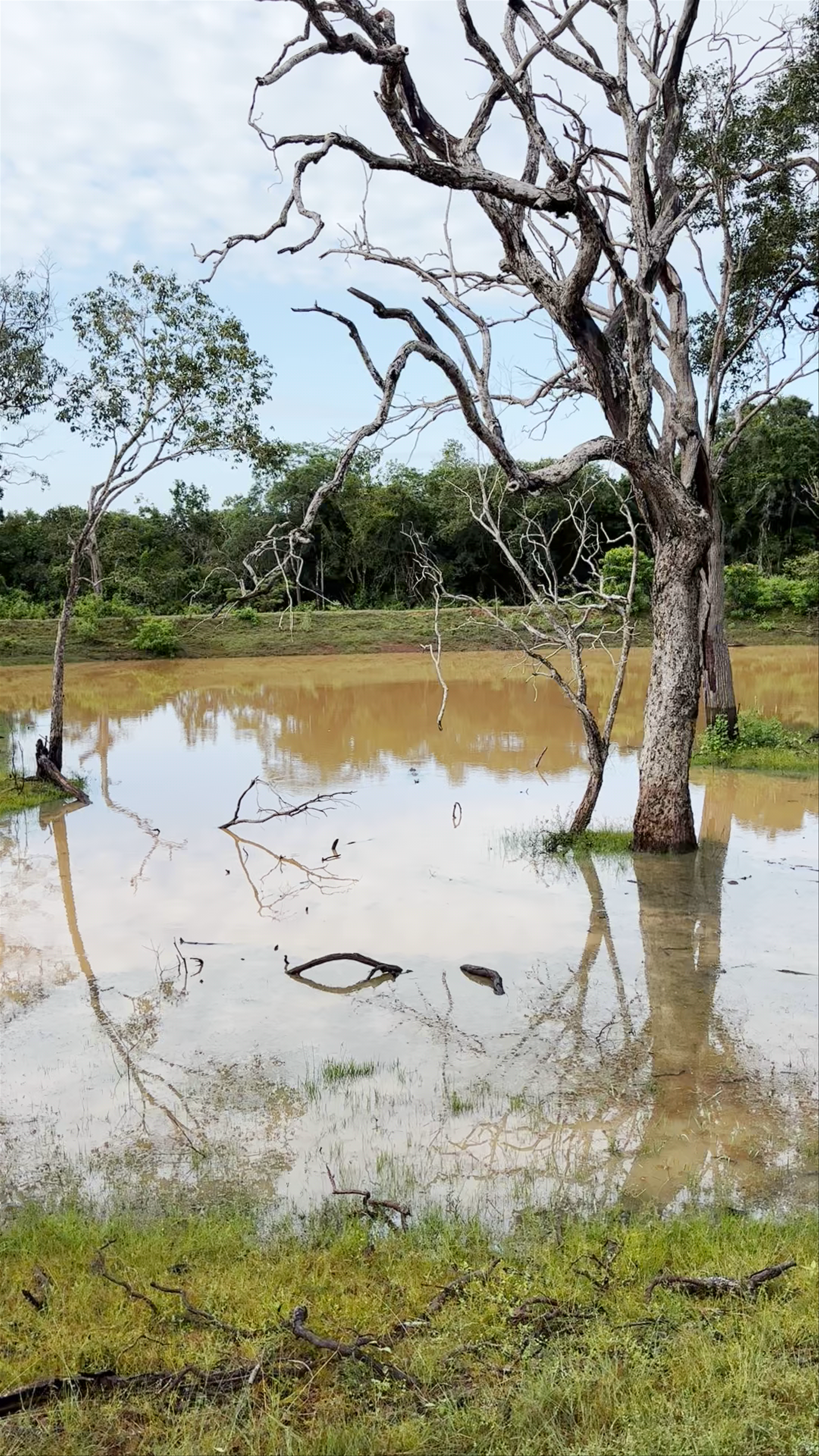 Wilpattu National Park