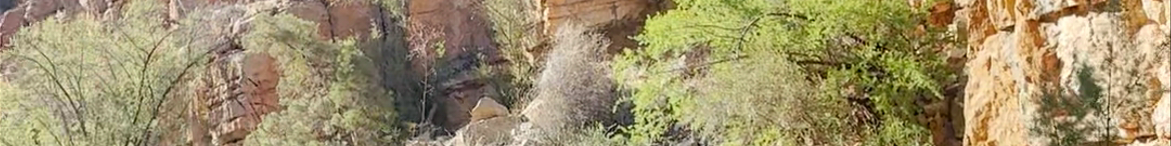 Tours & experiences in Souss - Massa - Draâ