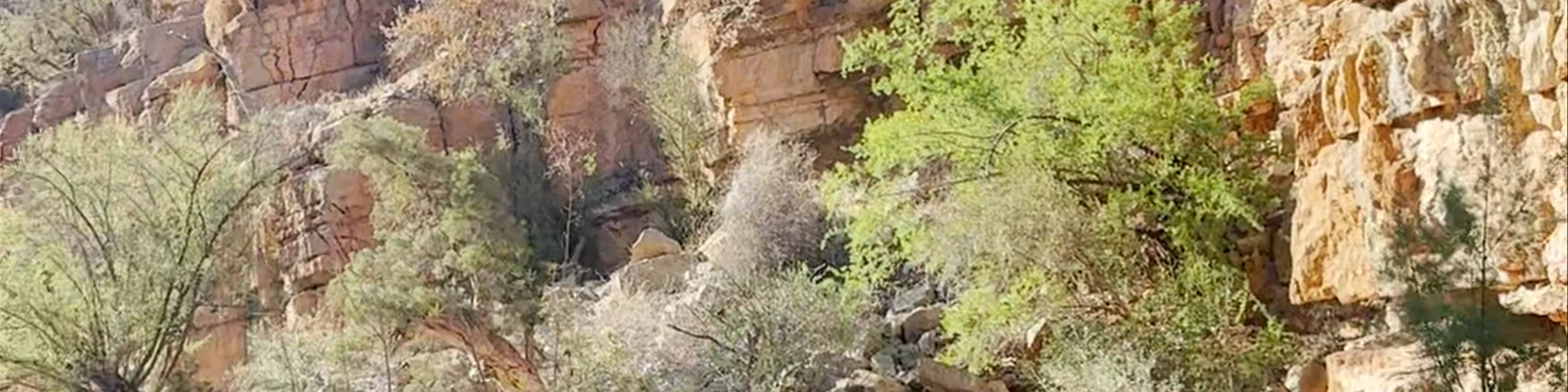 Paradise Valley