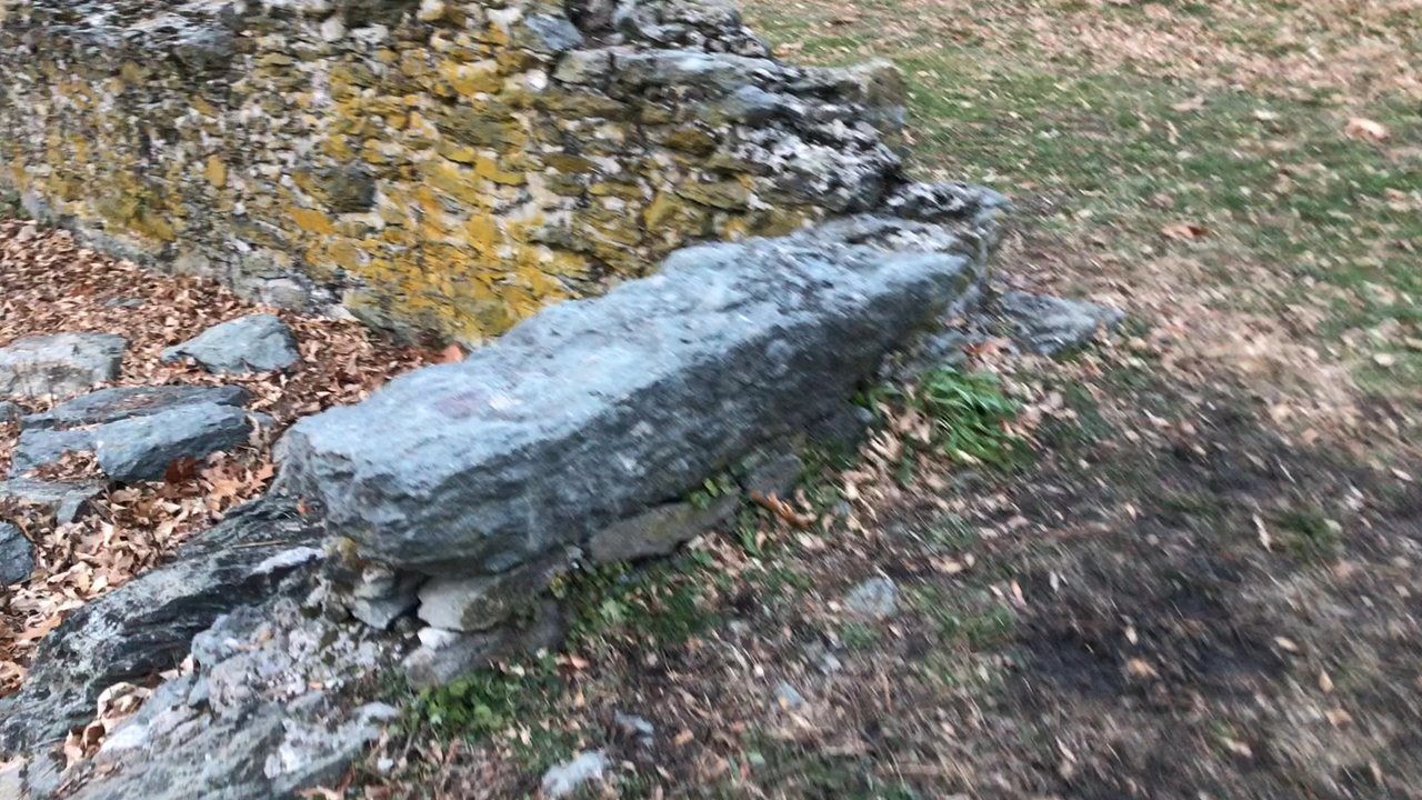Arnold Arboretum - Parks Near Me - Boston, Massachusetts