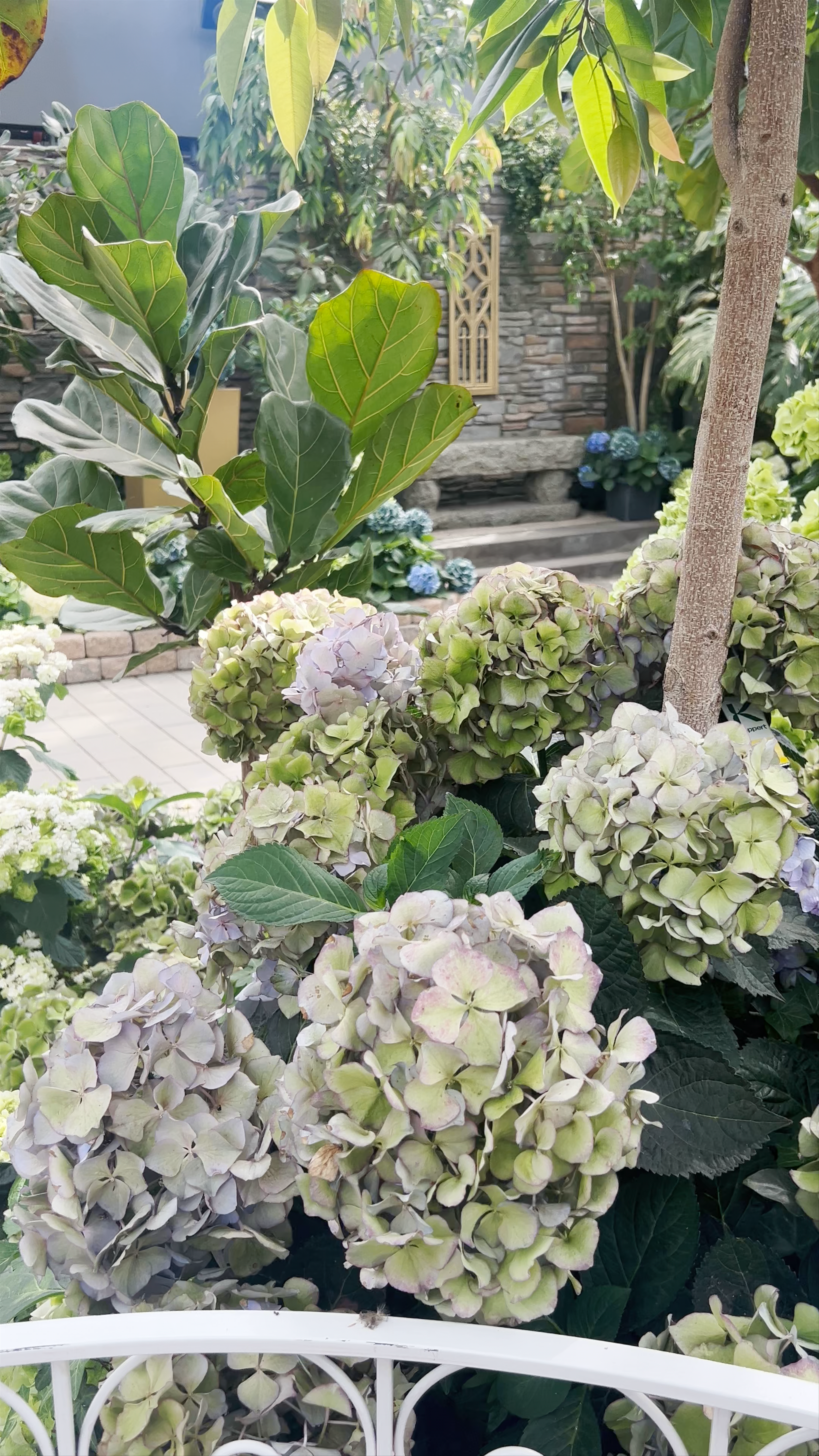 Muttart Conservatory