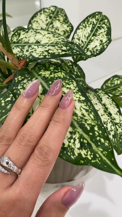 Bellacquer - Nail Salons Near Me - Brookline, Massachusetts